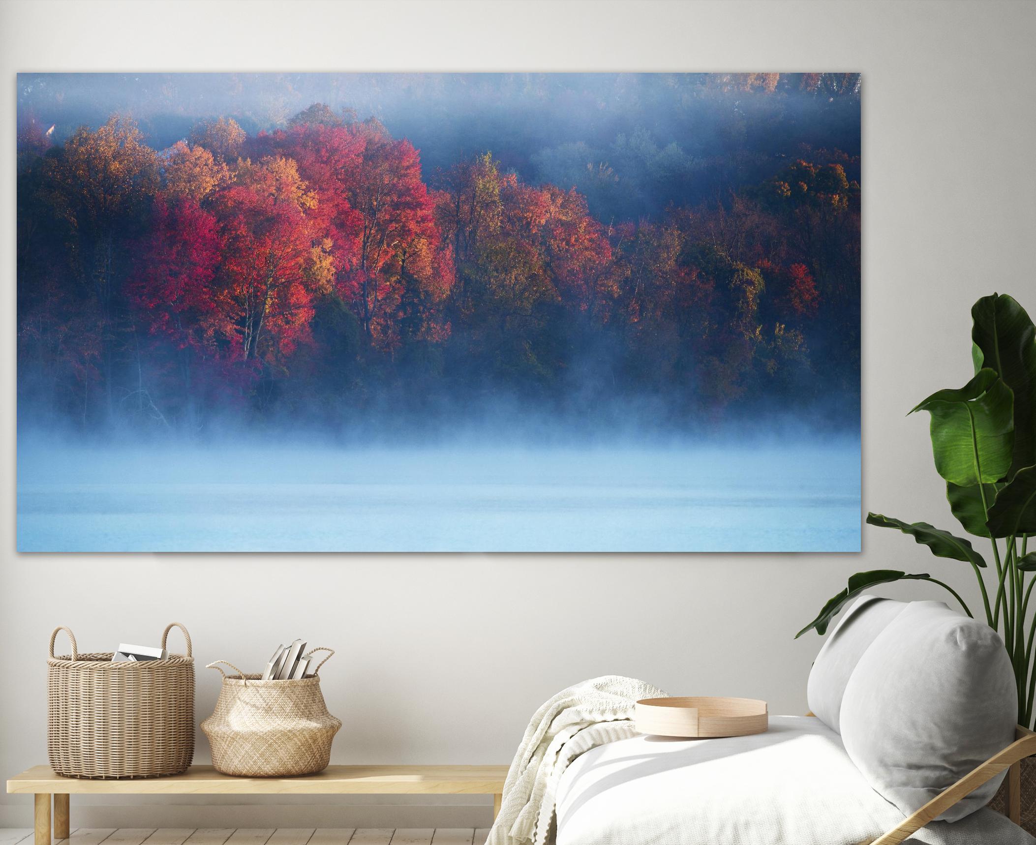 Li - Fall Impression III by 1X on GIANT ART - blue photo art