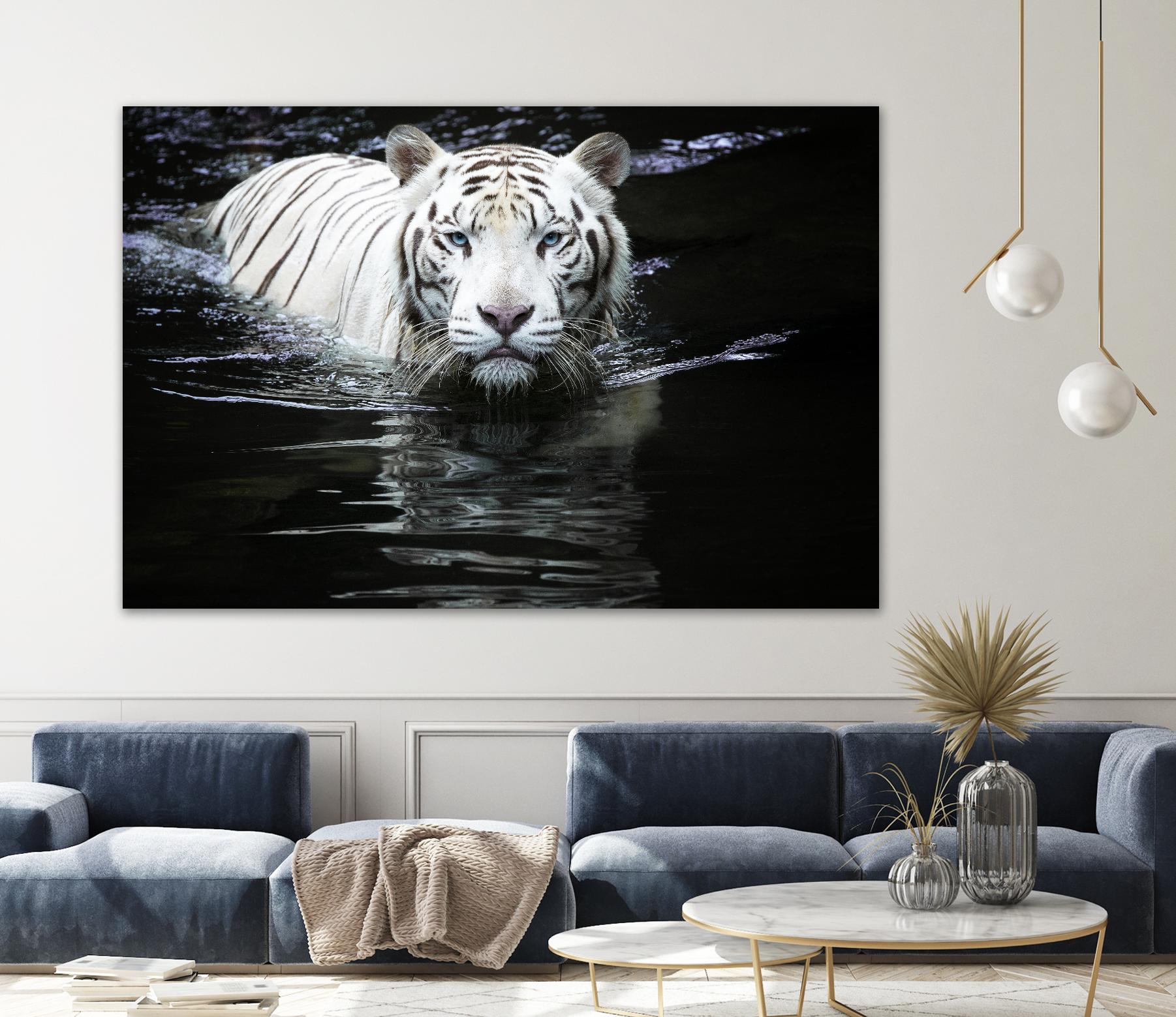 Doyle - Looking at Me Looking at You by 1X on GIANT ART - white photo art