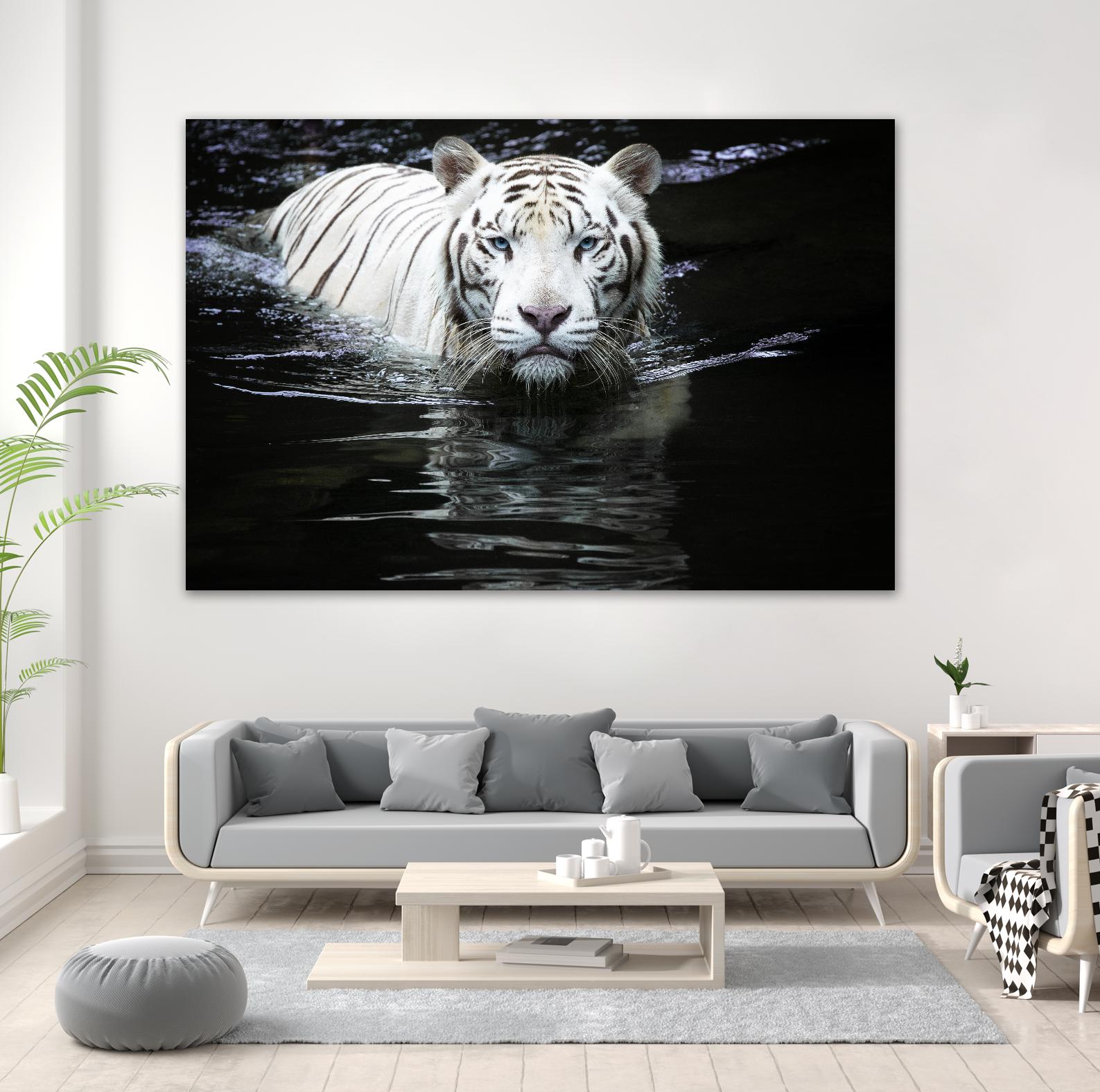 Doyle - Looking at Me Looking at You by 1X on GIANT ART - white photo art