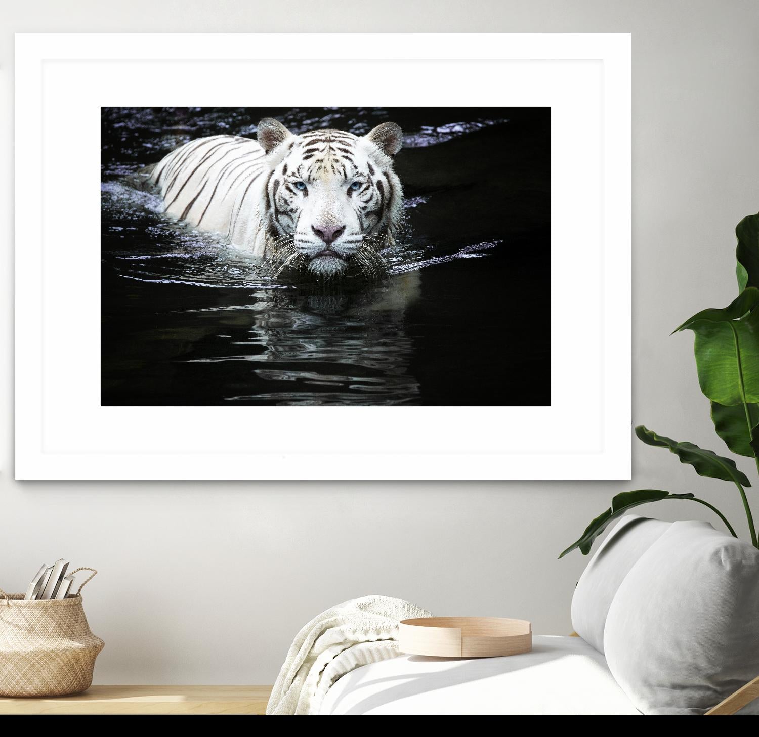 Doyle - Looking at Me Looking at You by 1X on GIANT ART - white photo art