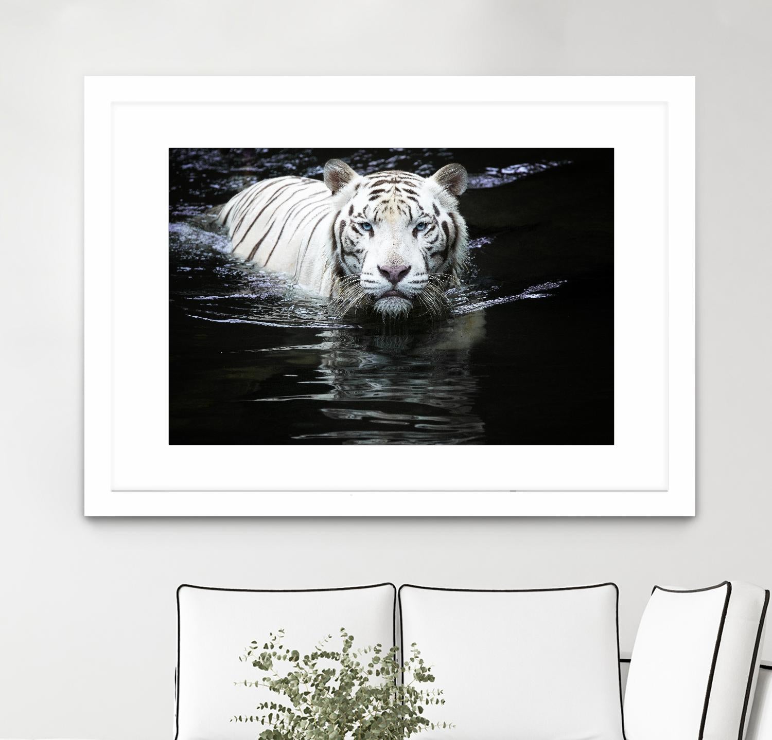 Doyle - Looking at Me Looking at You by 1X on GIANT ART - white photo art