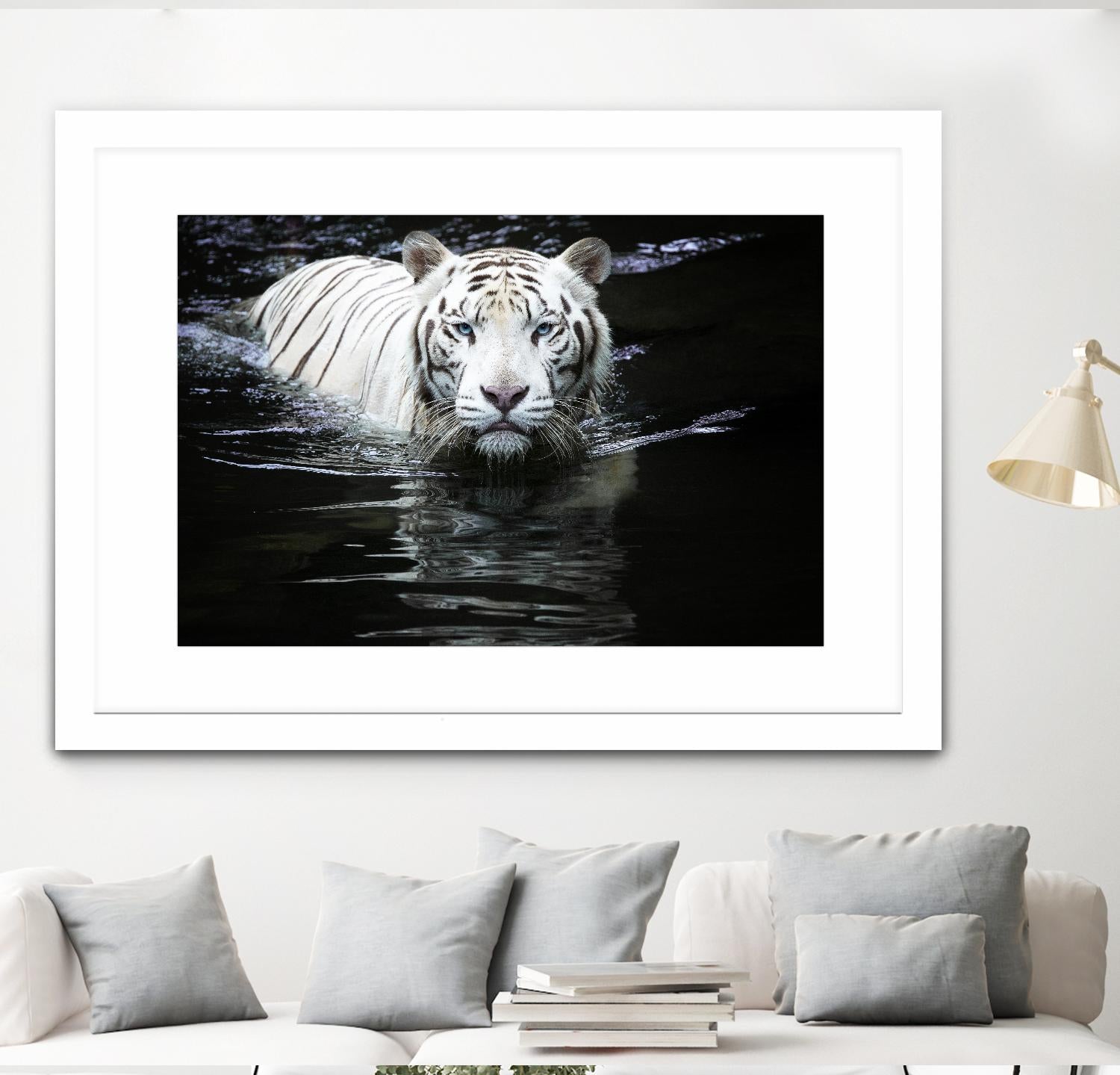Doyle - Looking at Me Looking at You by 1X on GIANT ART - white photo art