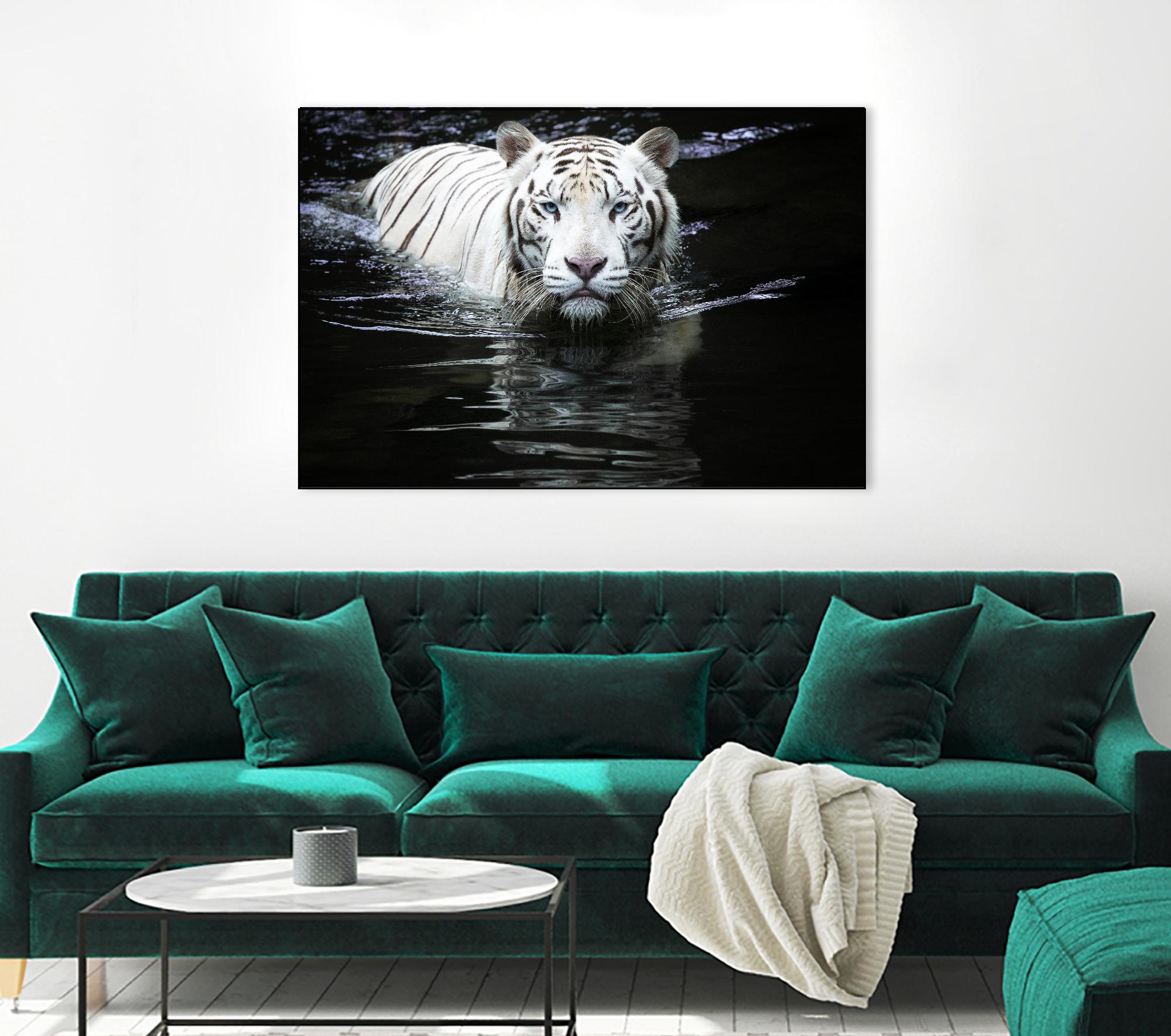 Doyle - Looking at Me Looking at You by 1X on GIANT ART - white photo art
