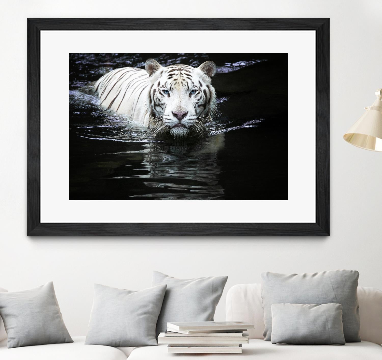 Doyle - Looking at Me Looking at You by 1X on GIANT ART - white photo art