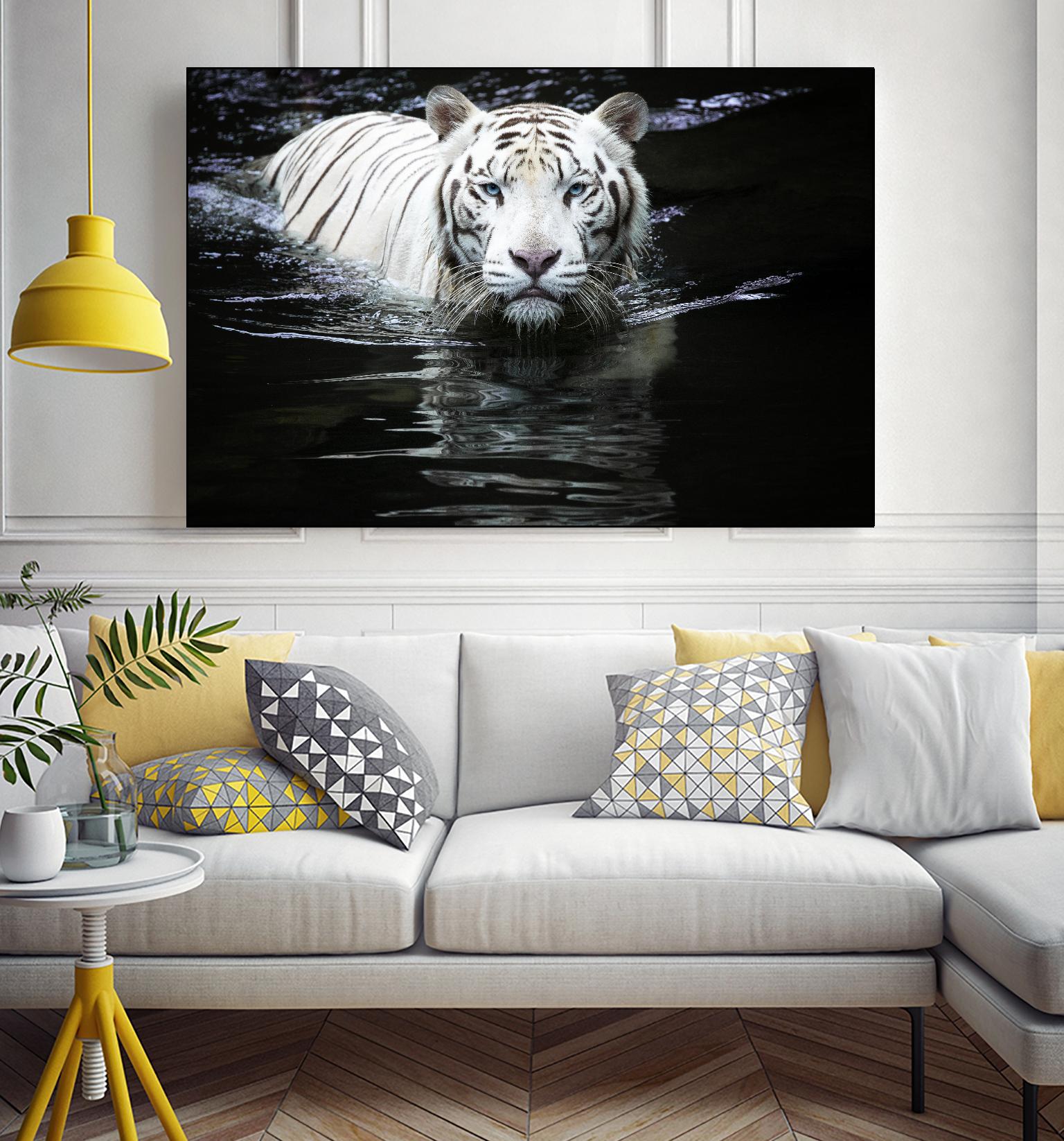 Doyle - Looking at Me Looking at You by 1X on GIANT ART - white photo art