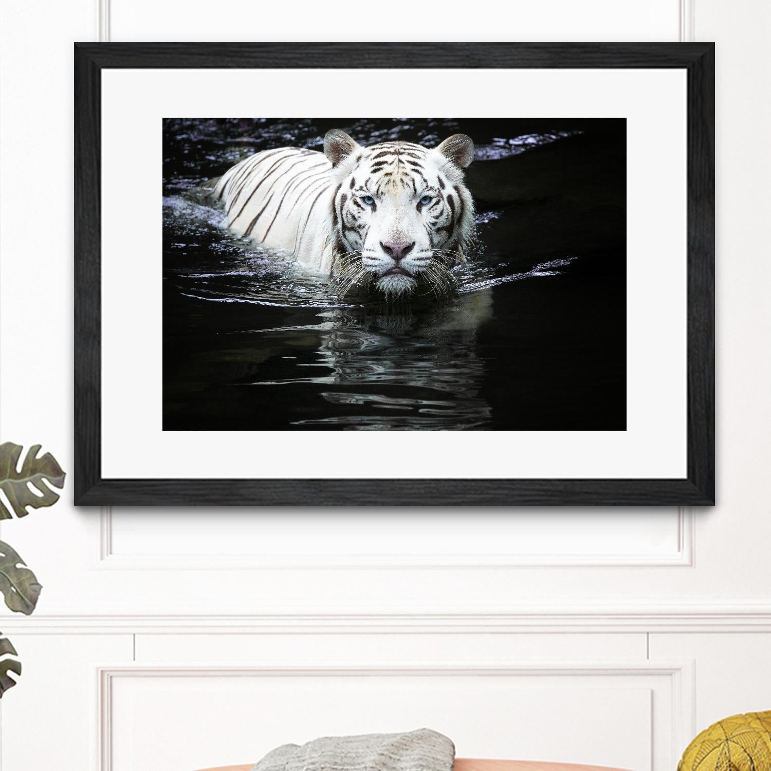 Doyle - Looking at Me Looking at You by 1X on GIANT ART - white photo art