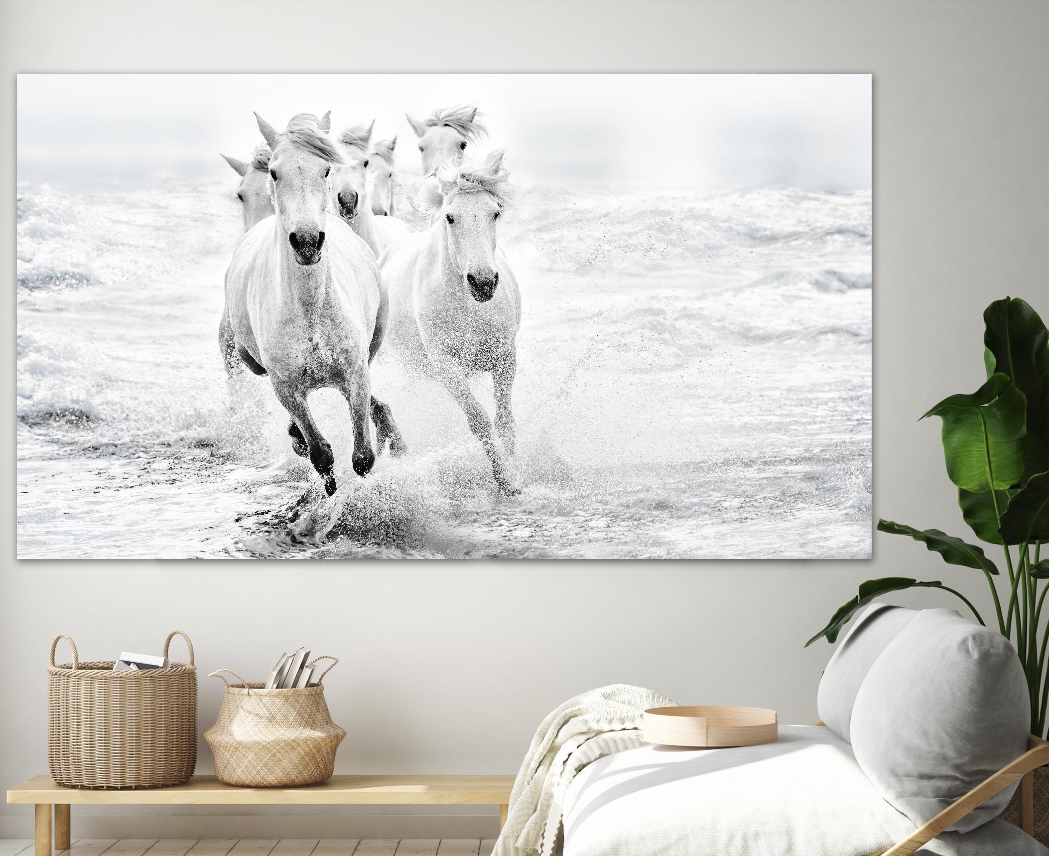Bressy - Running in the sea by 1X on GIANT ART - white photo art