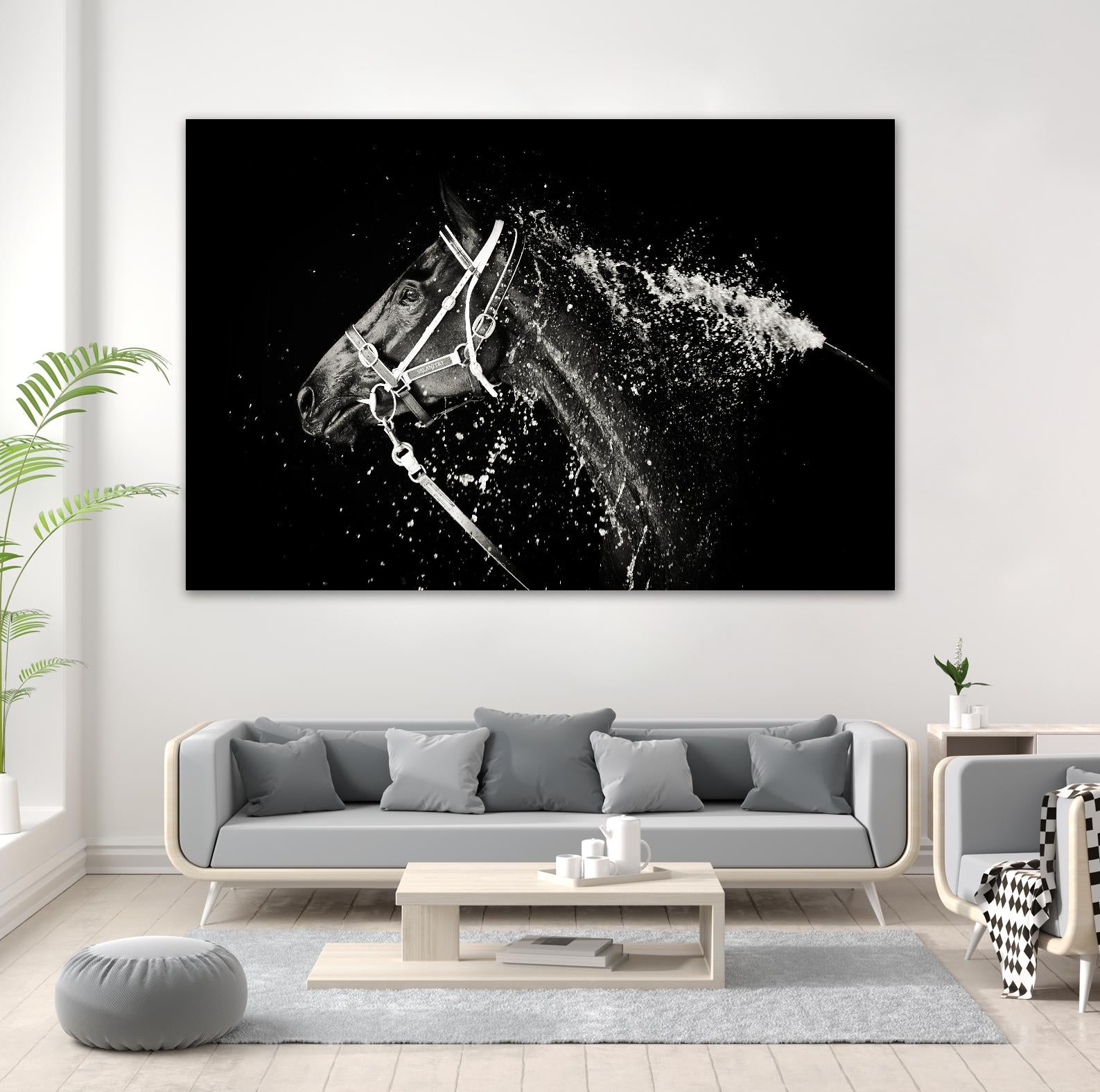 Lee Chapman - The Hose Down by 1X on GIANT ART - grey photo art