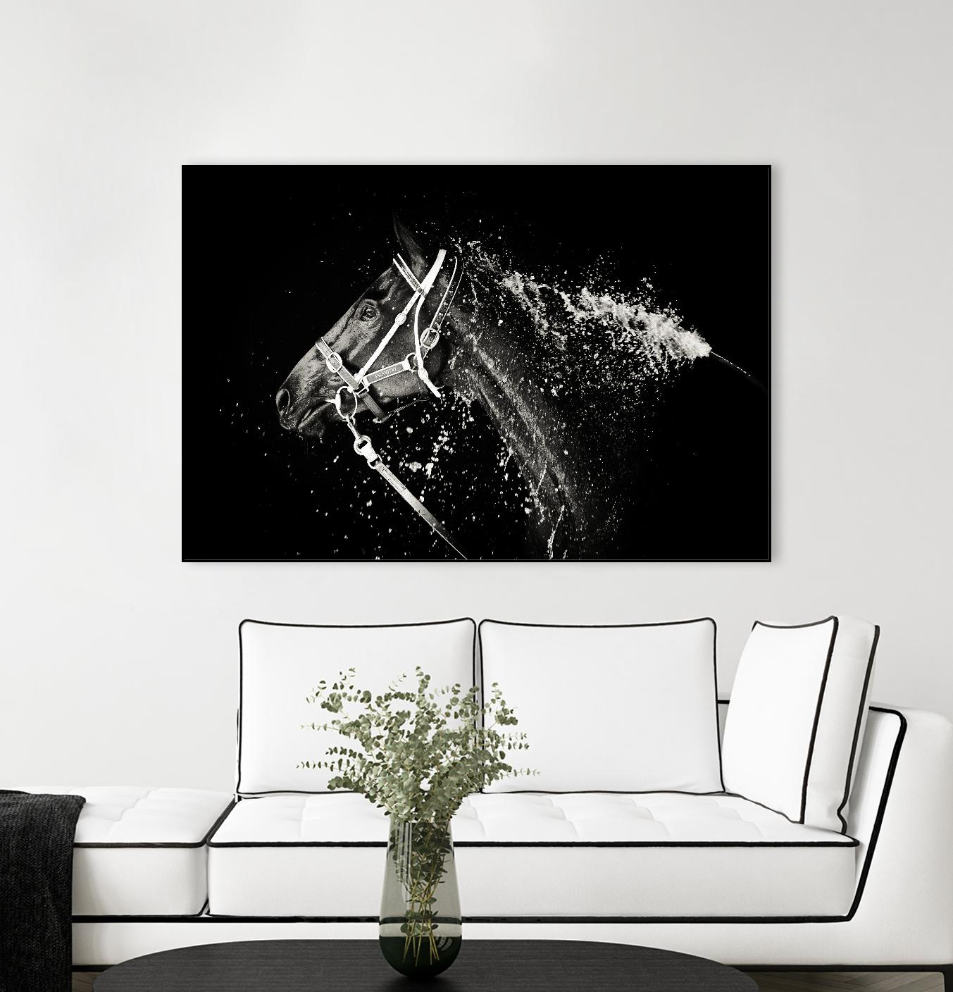 Lee Chapman - The Hose Down by 1X on GIANT ART - grey photo art