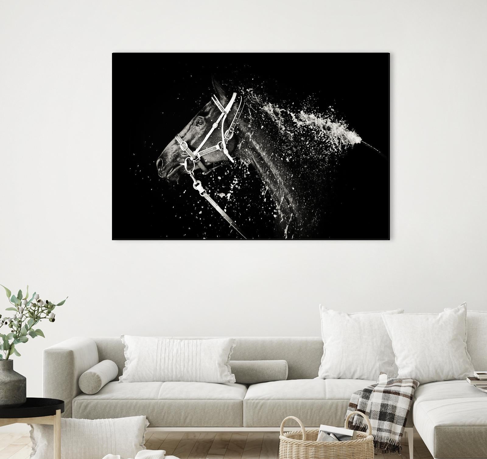 Lee Chapman - The Hose Down by 1X on GIANT ART - grey photo art