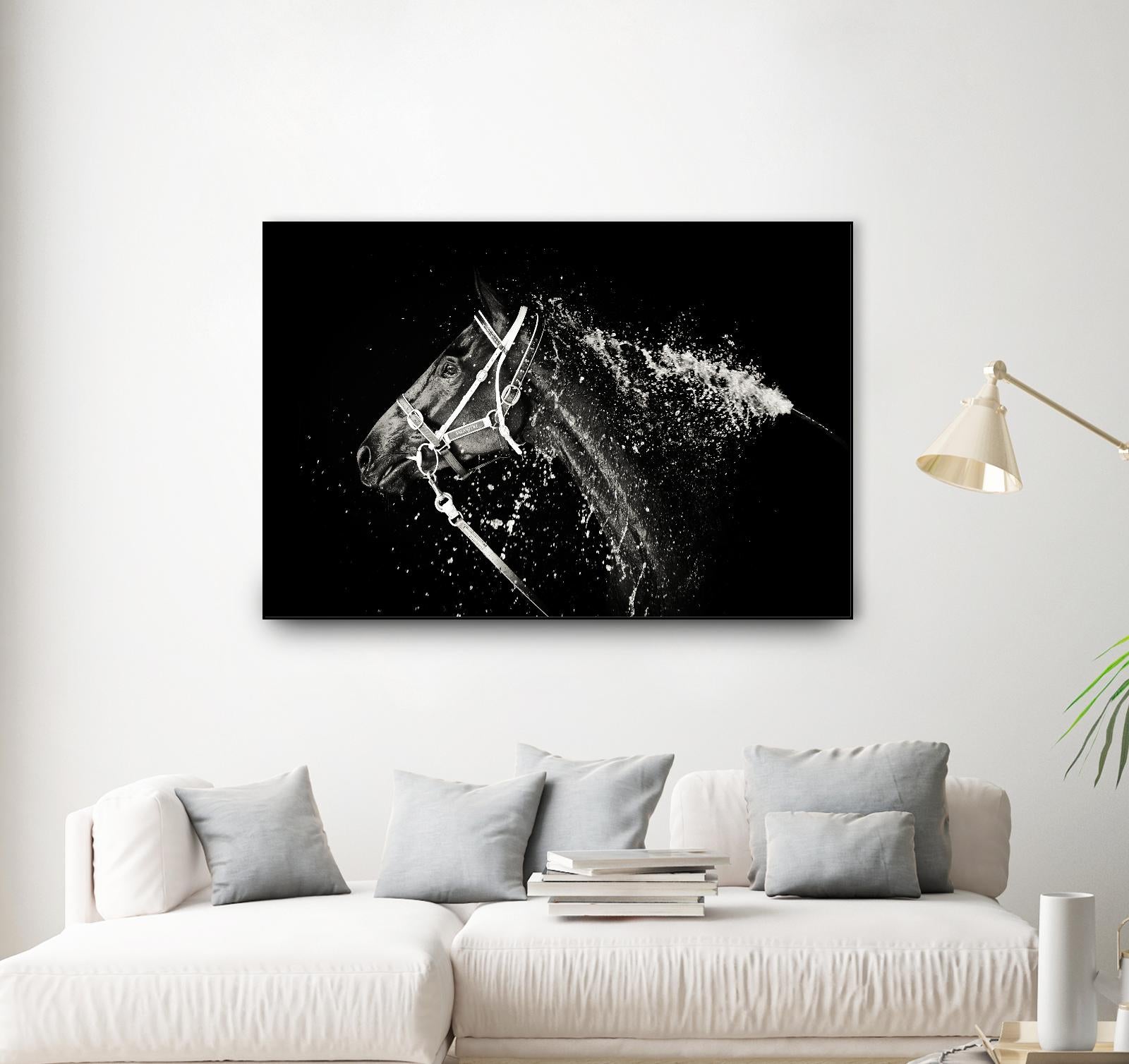 Lee Chapman - The Hose Down by 1X on GIANT ART - grey photo art