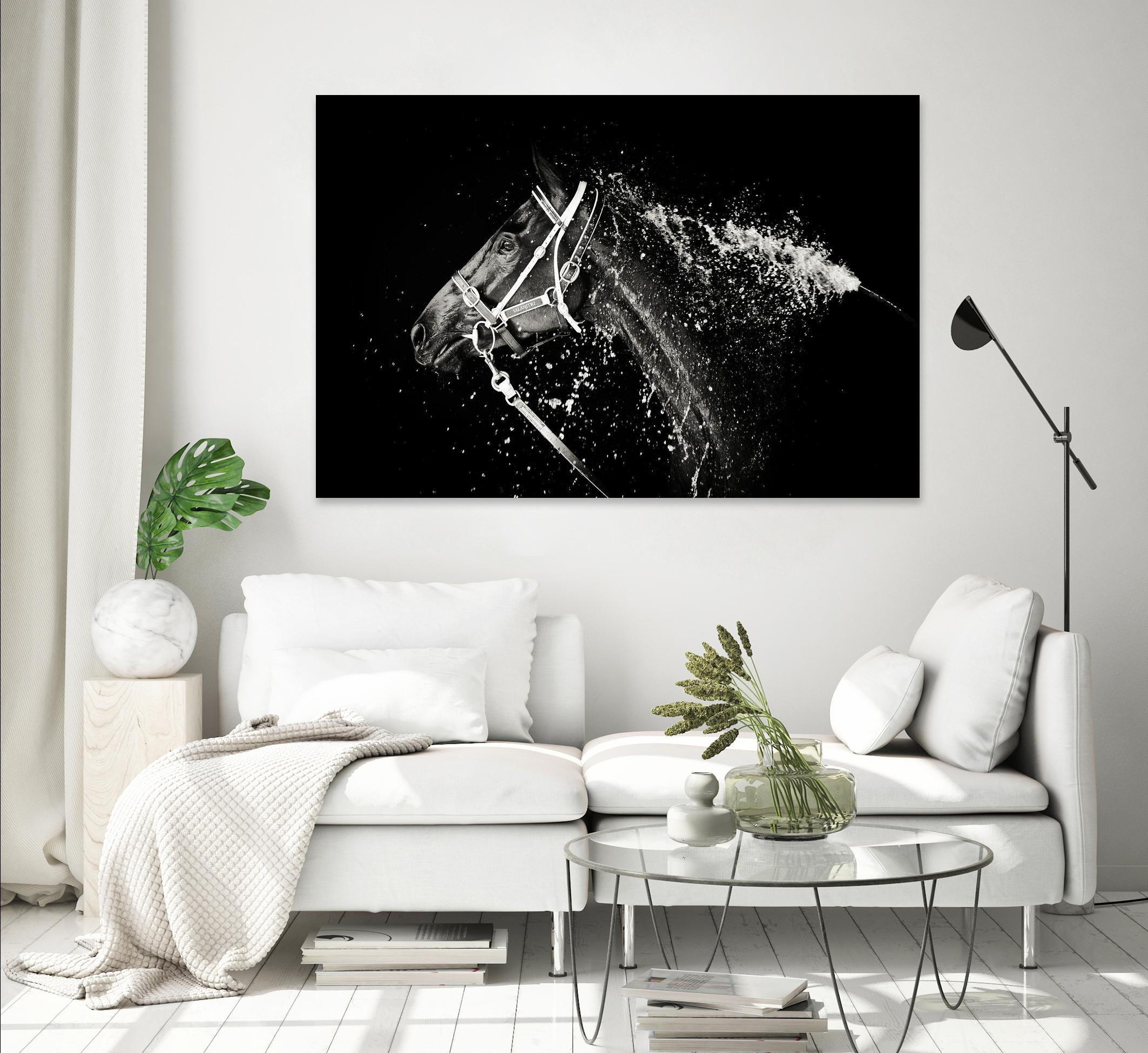 Lee Chapman - The Hose Down by 1X on GIANT ART - grey photo art