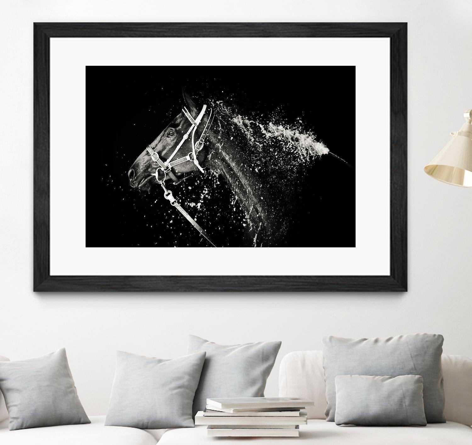 Lee Chapman - The Hose Down by 1X on GIANT ART - grey photo art