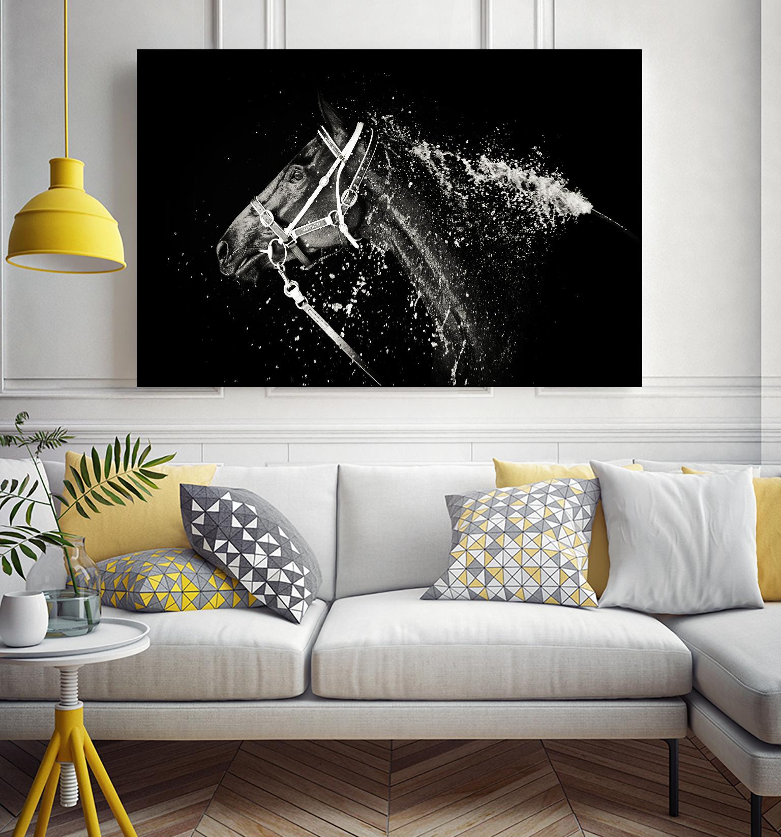Lee Chapman - The Hose Down by 1X on GIANT ART - grey photo art