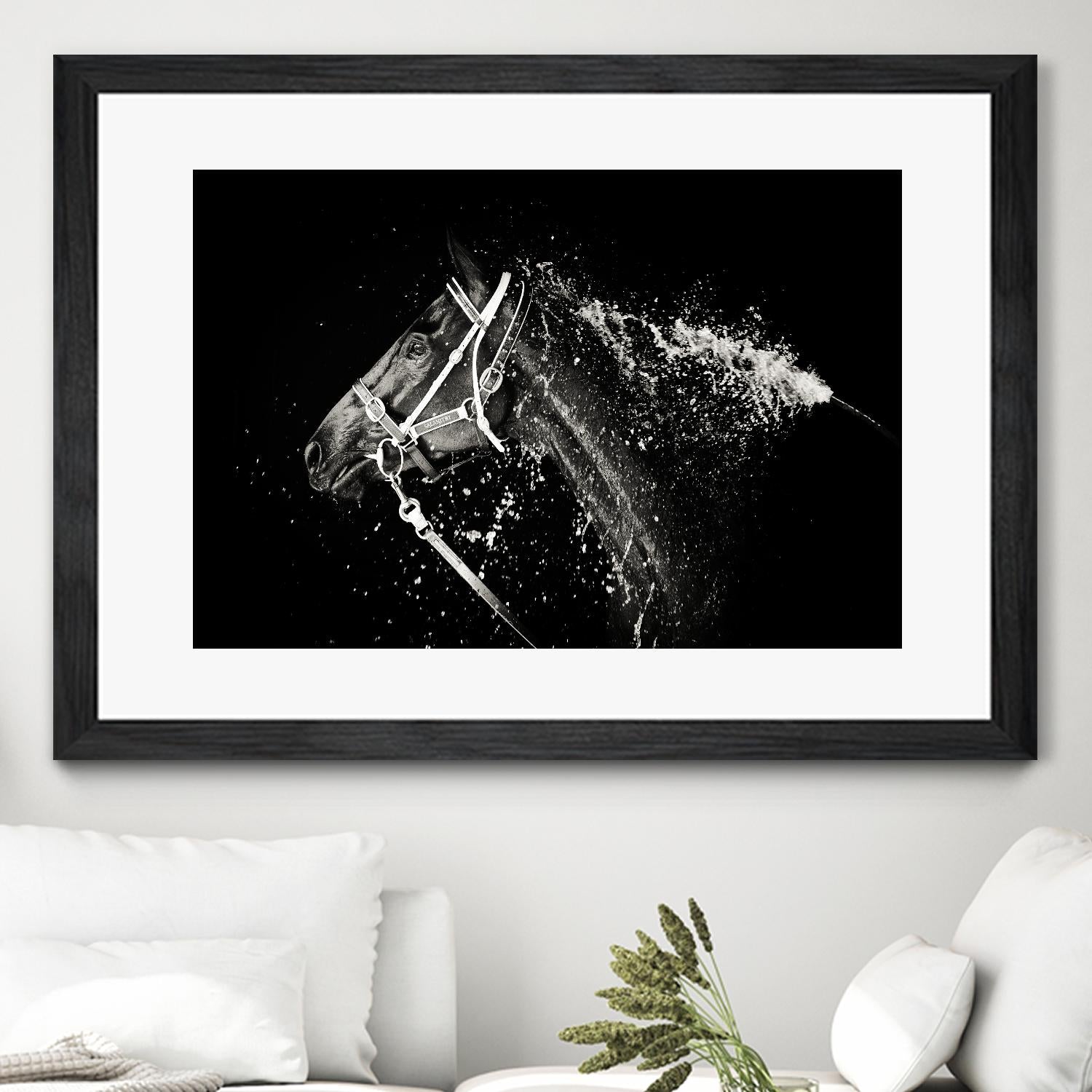 Lee Chapman - The Hose Down by 1X on GIANT ART - grey photo art
