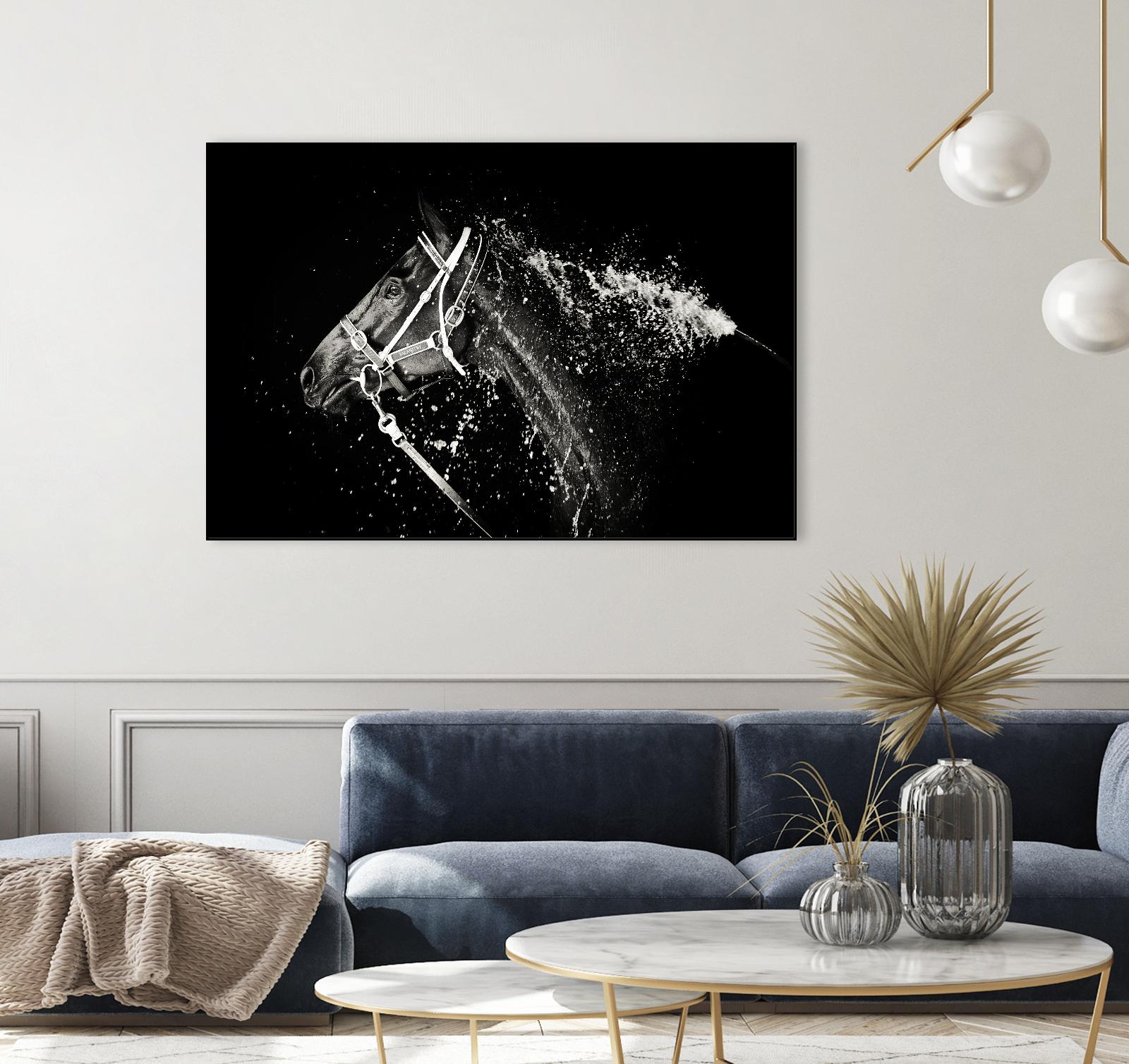 Lee Chapman - The Hose Down by 1X on GIANT ART - grey photo art