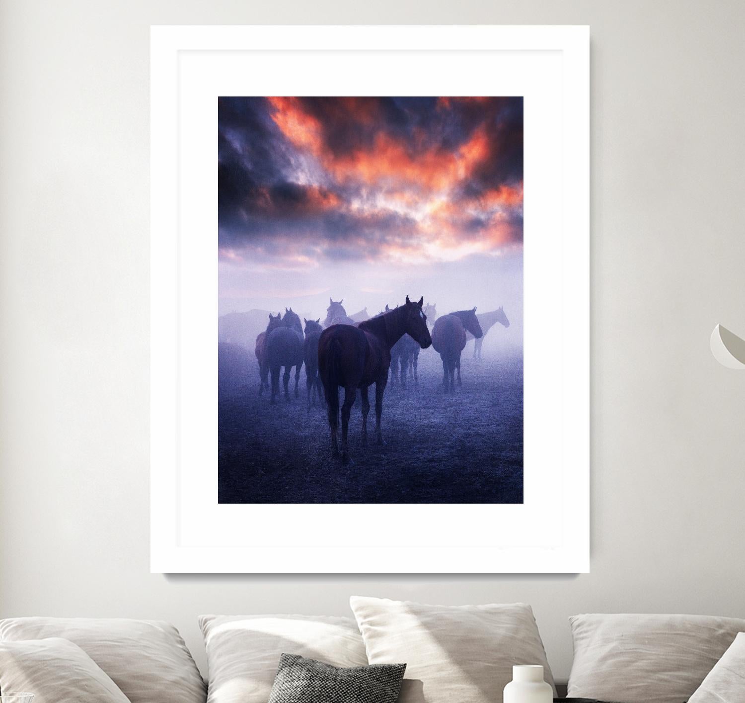 Cevik - Wild Horses by 1X on GIANT ART - pink animals