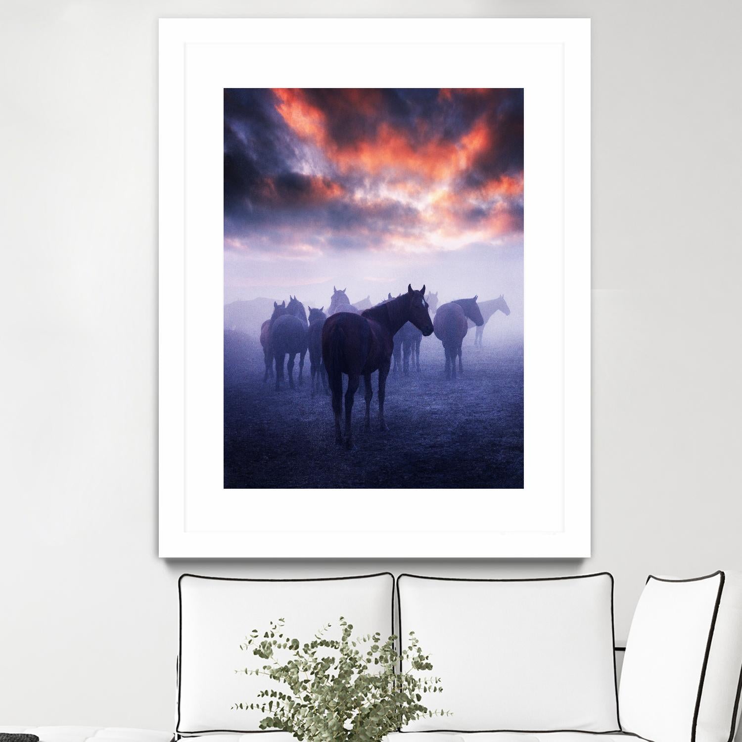 Cevik - Wild Horses by 1X on GIANT ART - pink animals