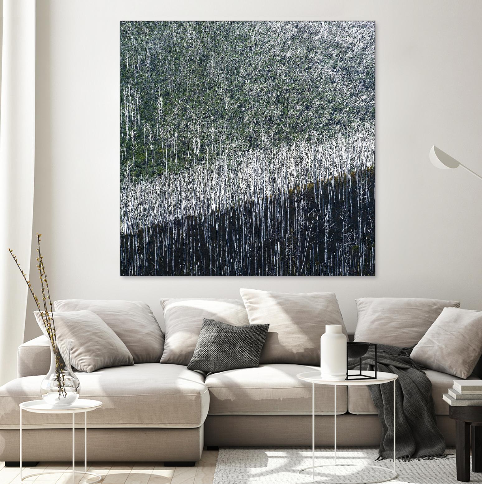 Coming back to life by 1X 1X on GIANT ART - black trees