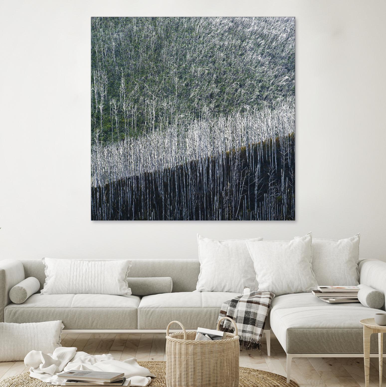 Coming back to life by 1X 1X on GIANT ART - black trees