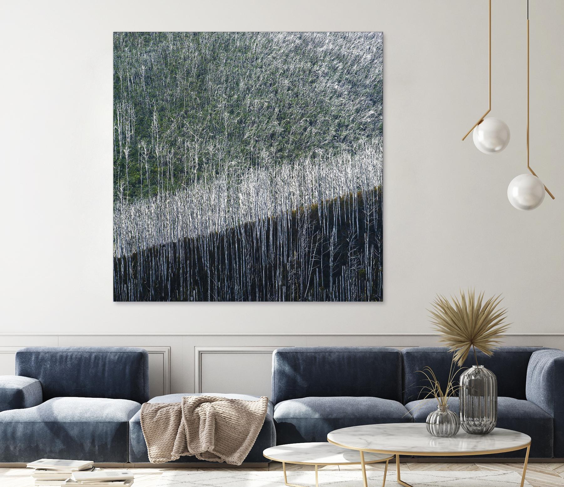 Coming back to life by 1X 1X on GIANT ART - black trees