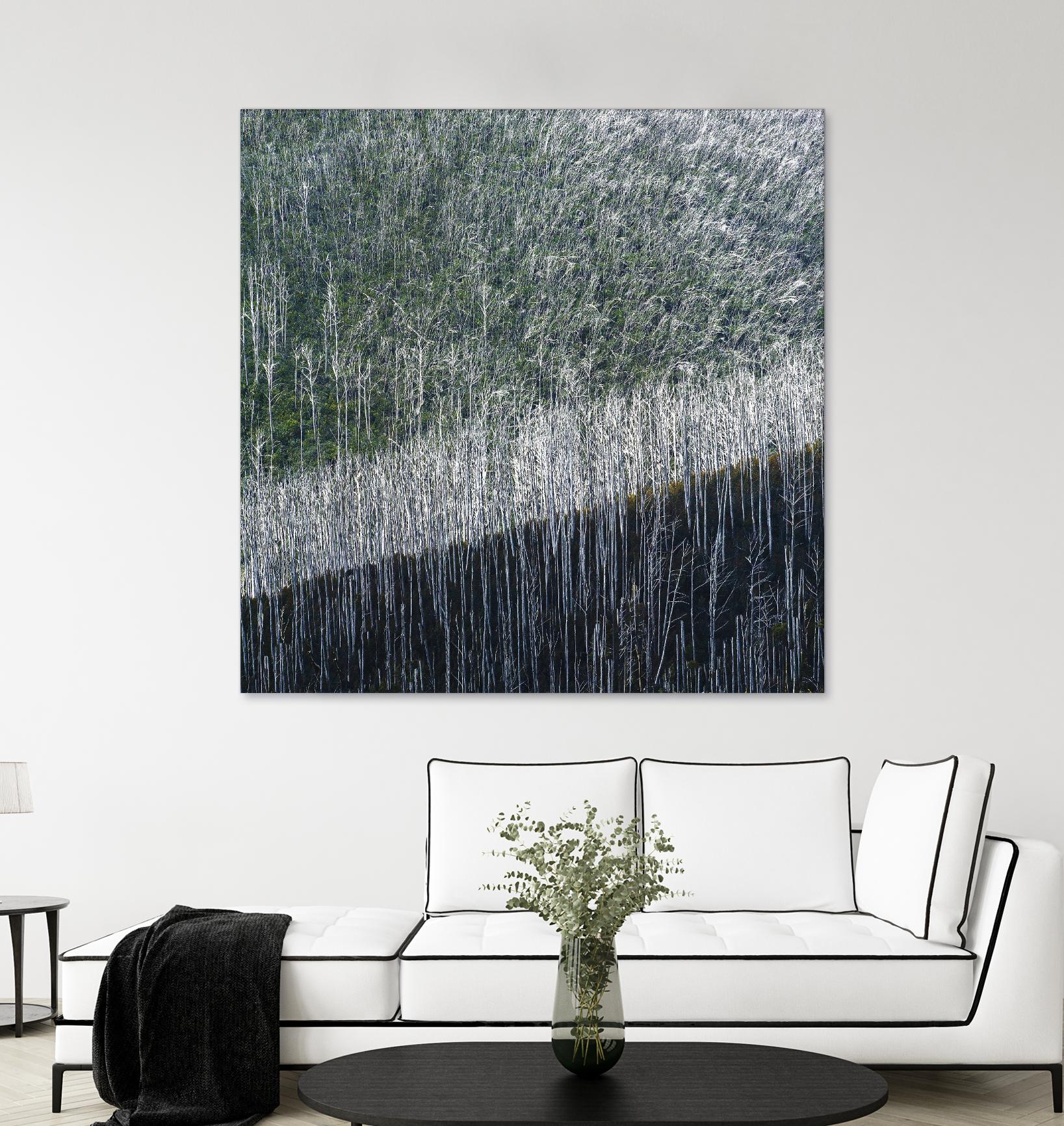 Coming back to life by 1X 1X on GIANT ART - black trees