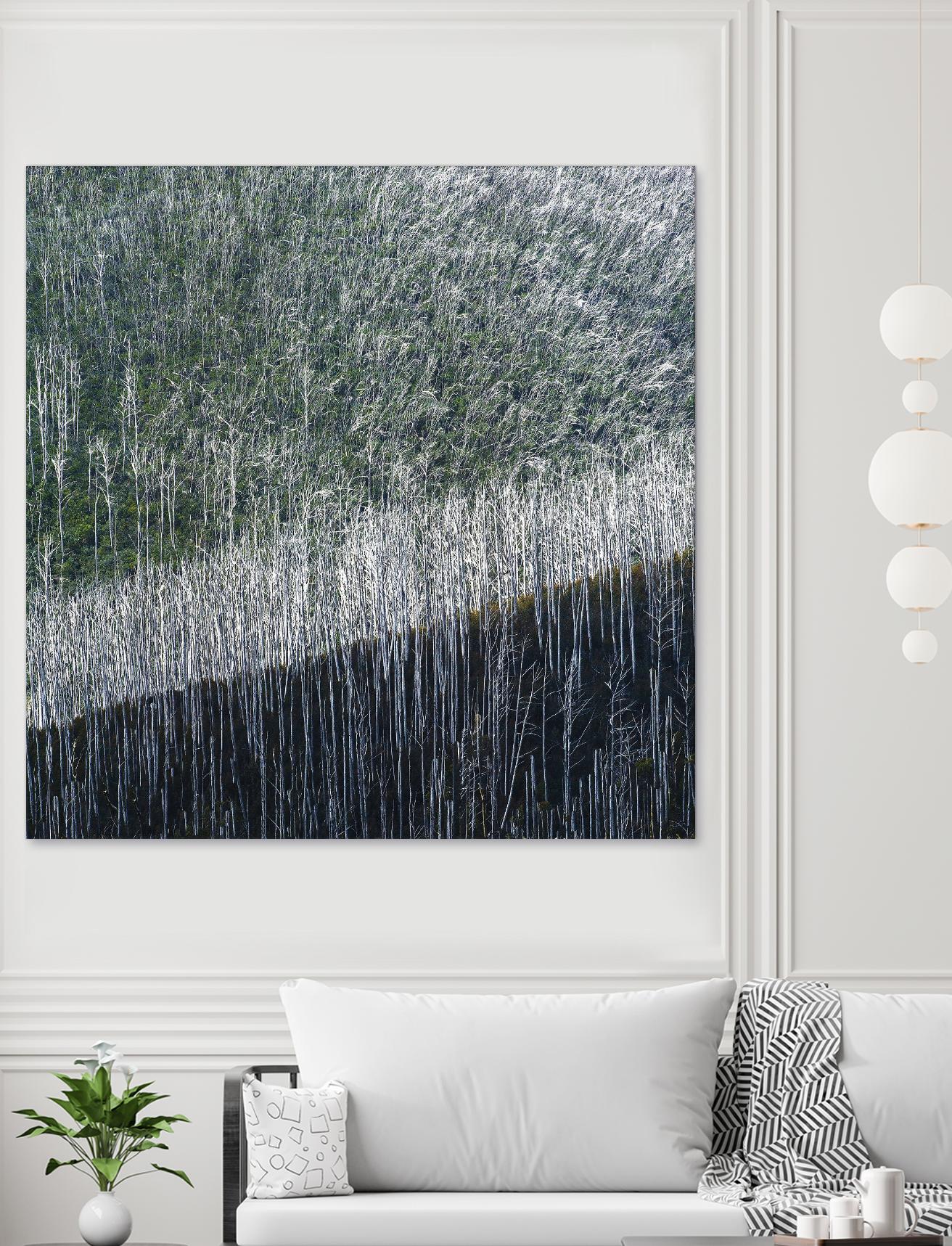 Coming back to life by 1X 1X on GIANT ART - black trees