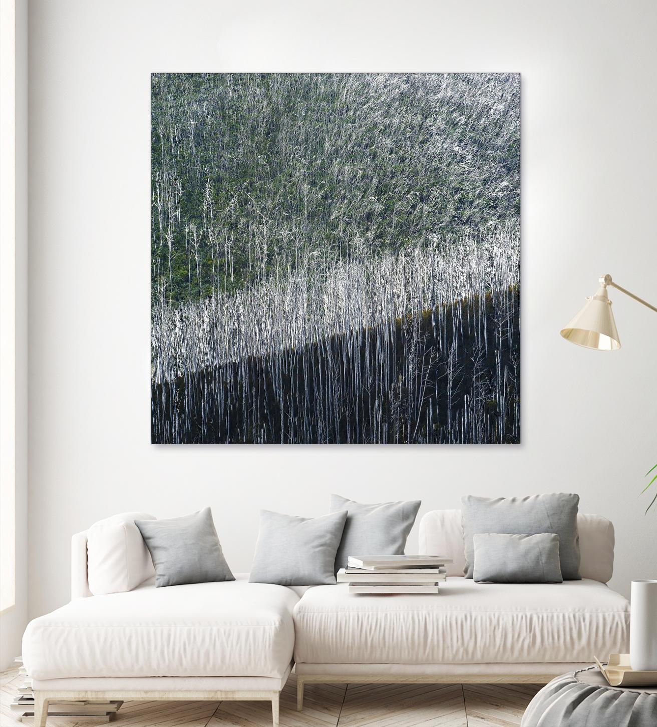 Coming back to life by 1X 1X on GIANT ART - black trees