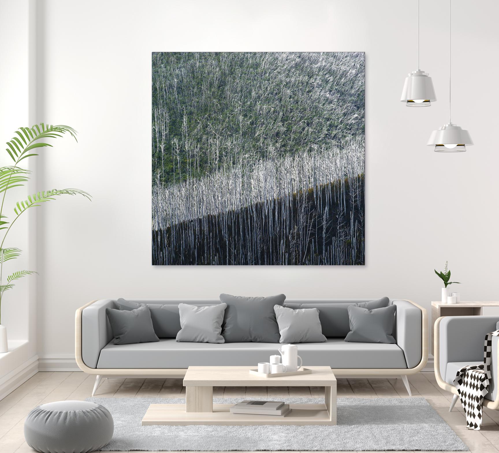 Coming back to life by 1X 1X on GIANT ART - black trees