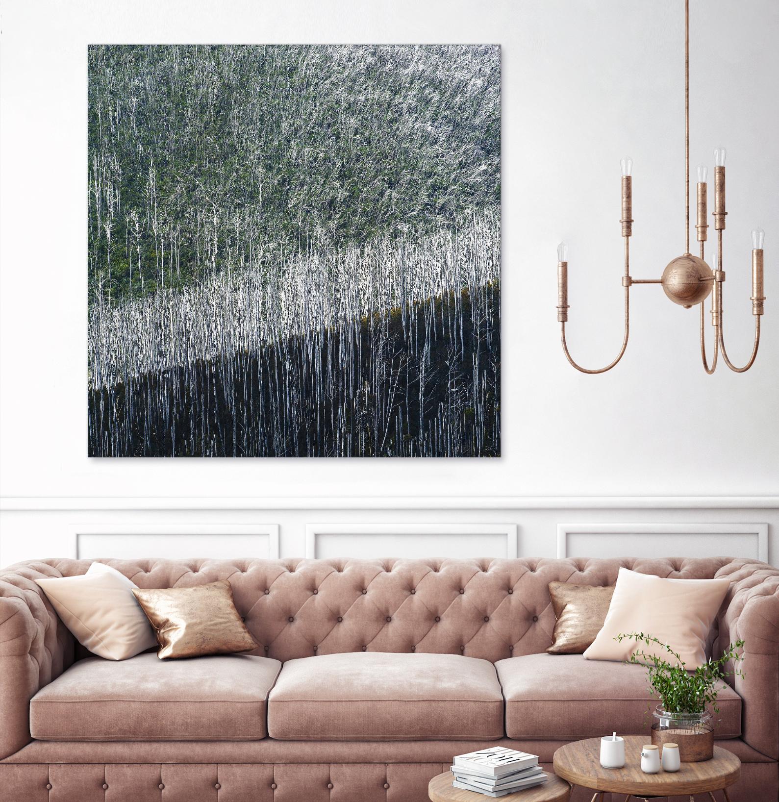 Coming back to life by 1X 1X on GIANT ART - black trees