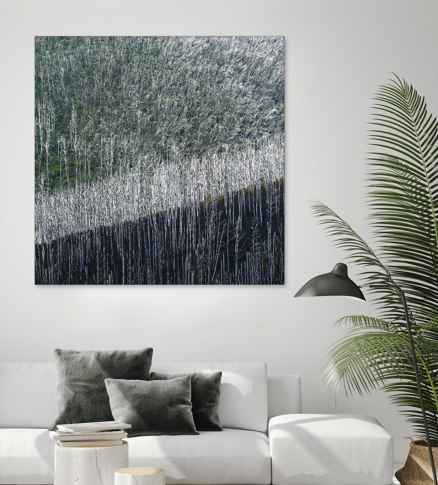 Coming back to life by 1X 1X on GIANT ART - black trees