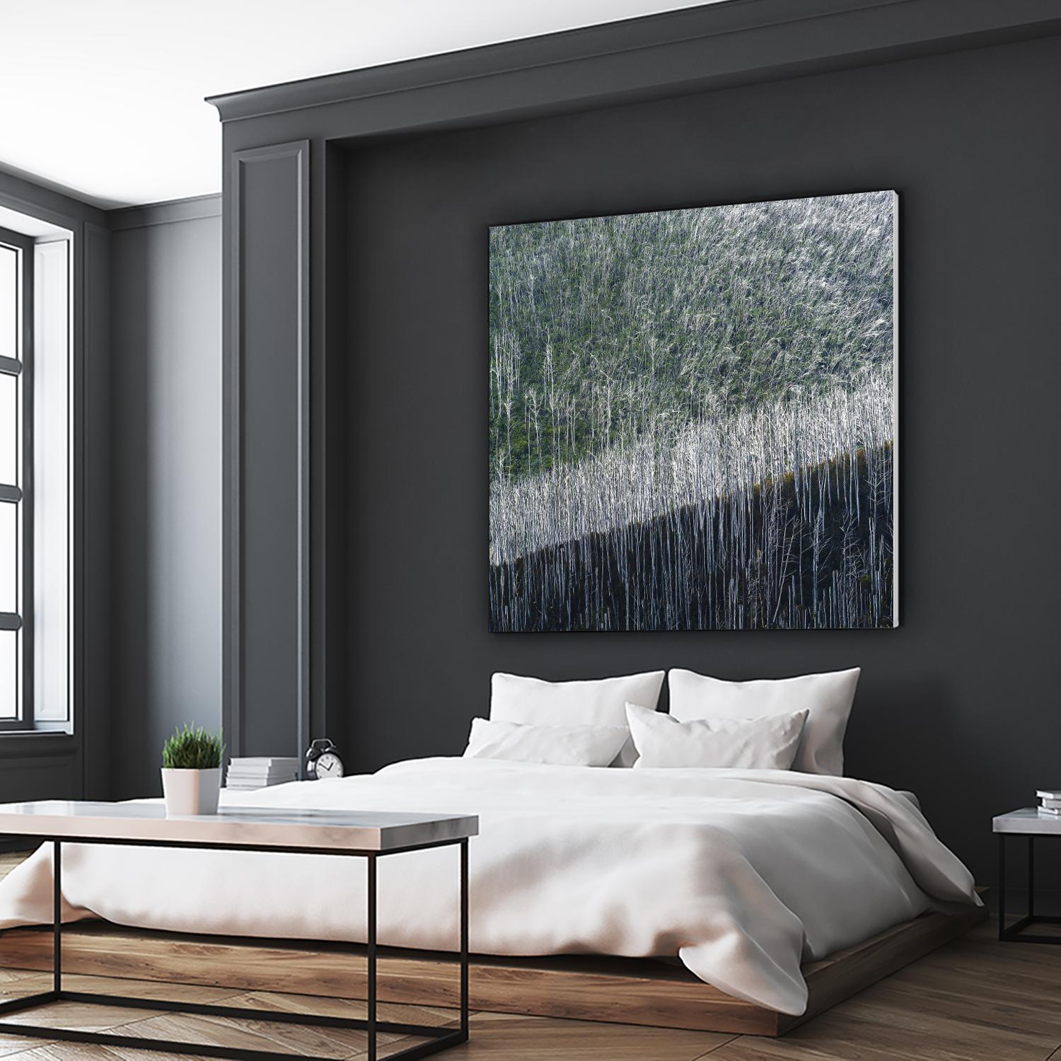 Coming back to life by 1X 1X on GIANT ART - black trees