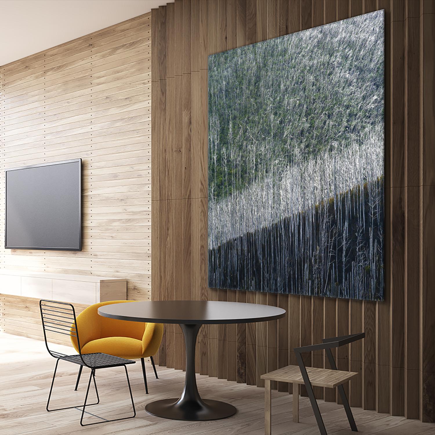 Coming back to life by 1X 1X on GIANT ART - black trees