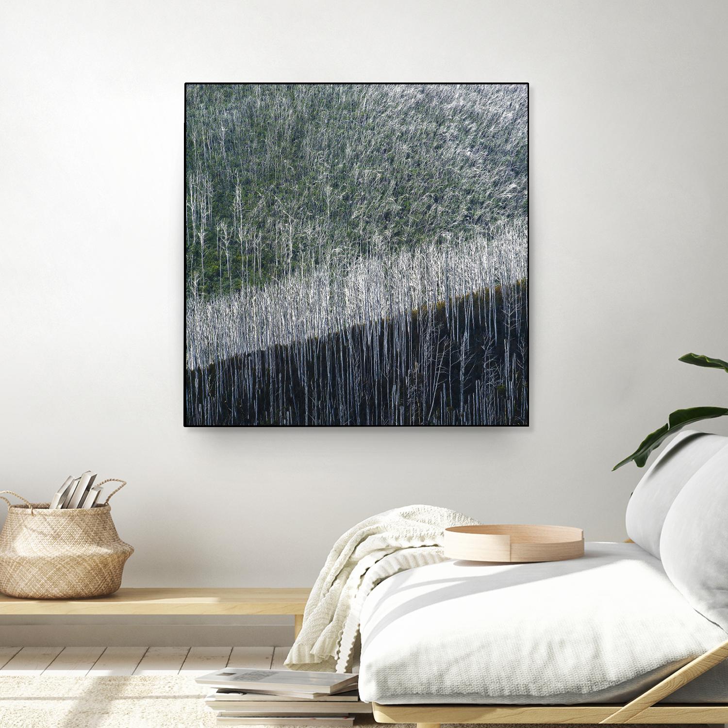 Coming back to life by 1X 1X on GIANT ART - black trees