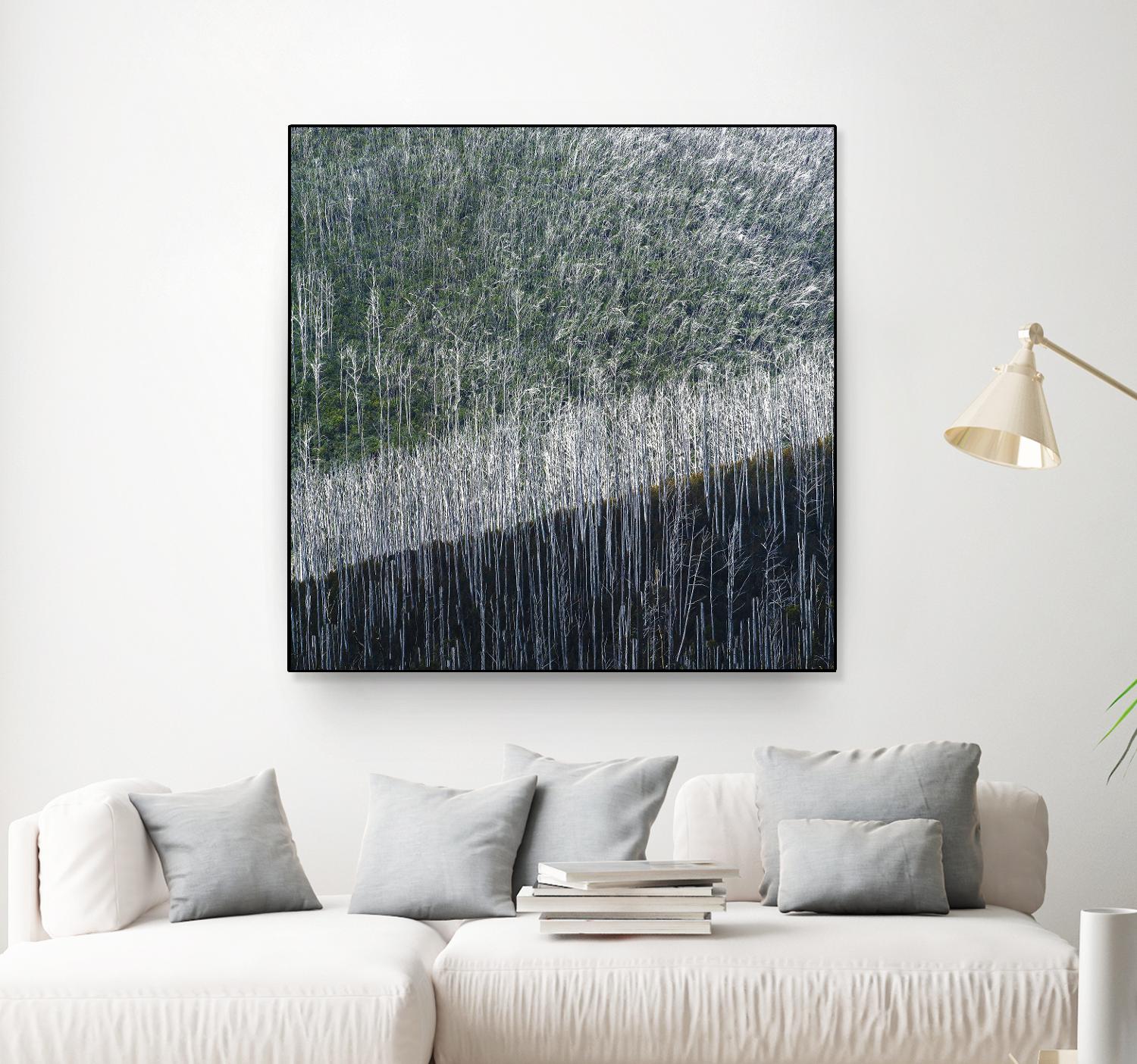 Coming back to life by 1X 1X on GIANT ART - black trees