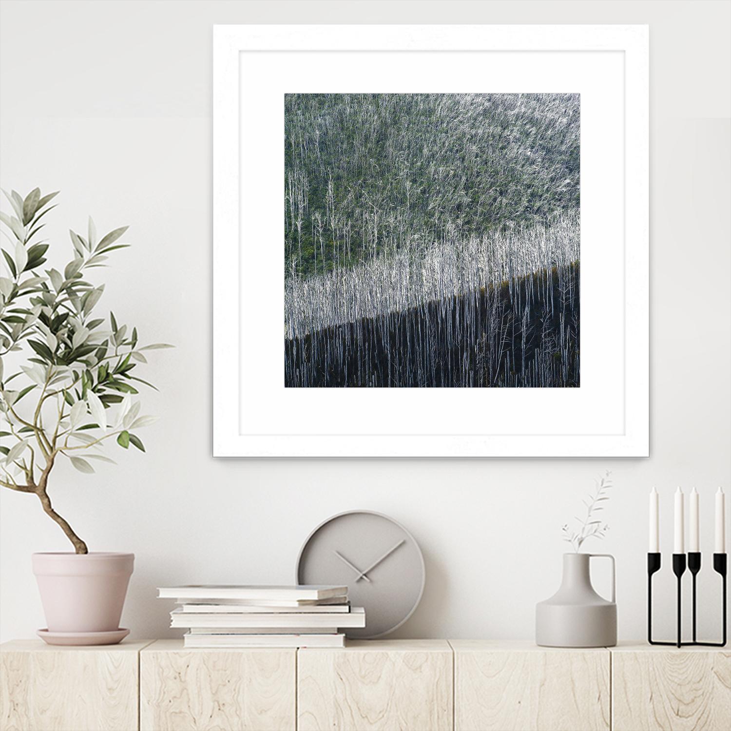 Coming back to life by 1X 1X on GIANT ART - black trees