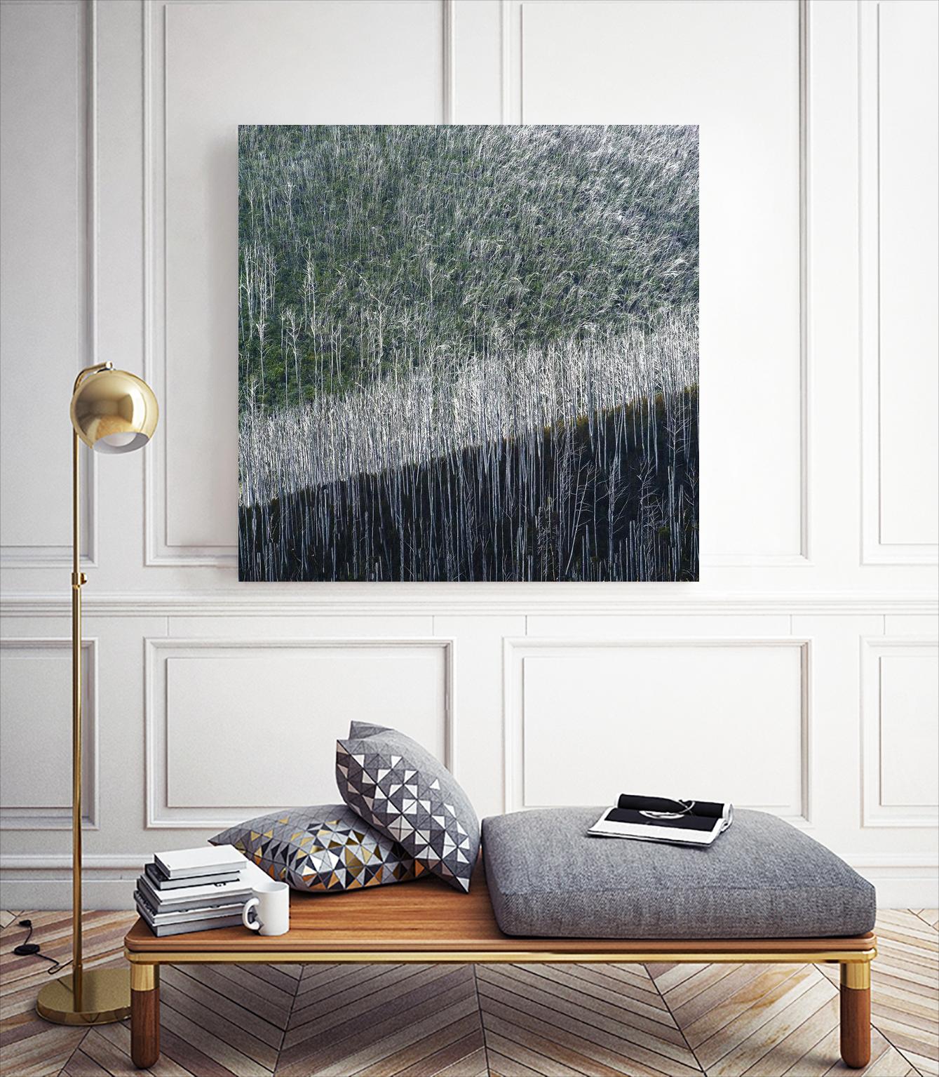 Coming back to life by 1X 1X on GIANT ART - black trees