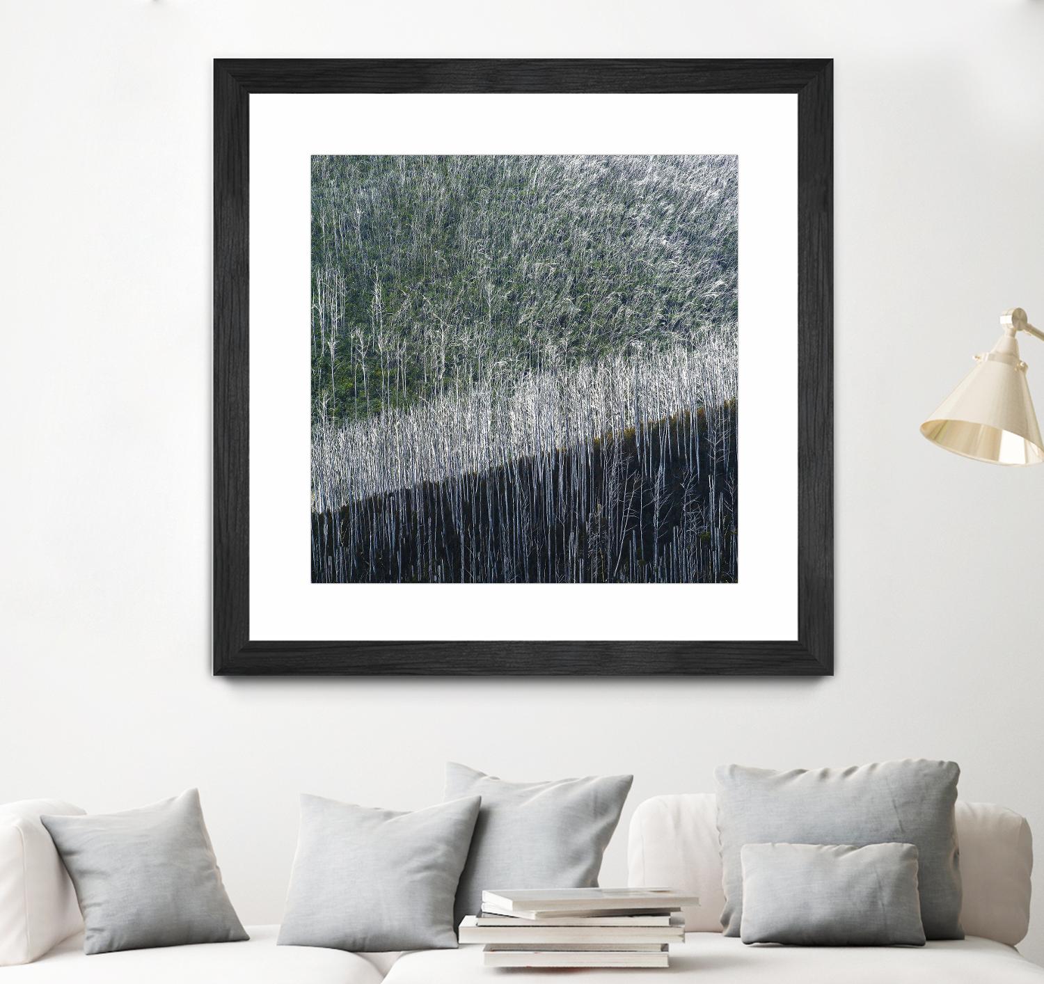 Coming back to life by 1X 1X on GIANT ART - black trees