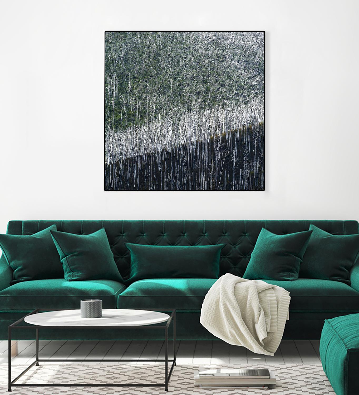 Coming back to life by 1X 1X on GIANT ART - black trees