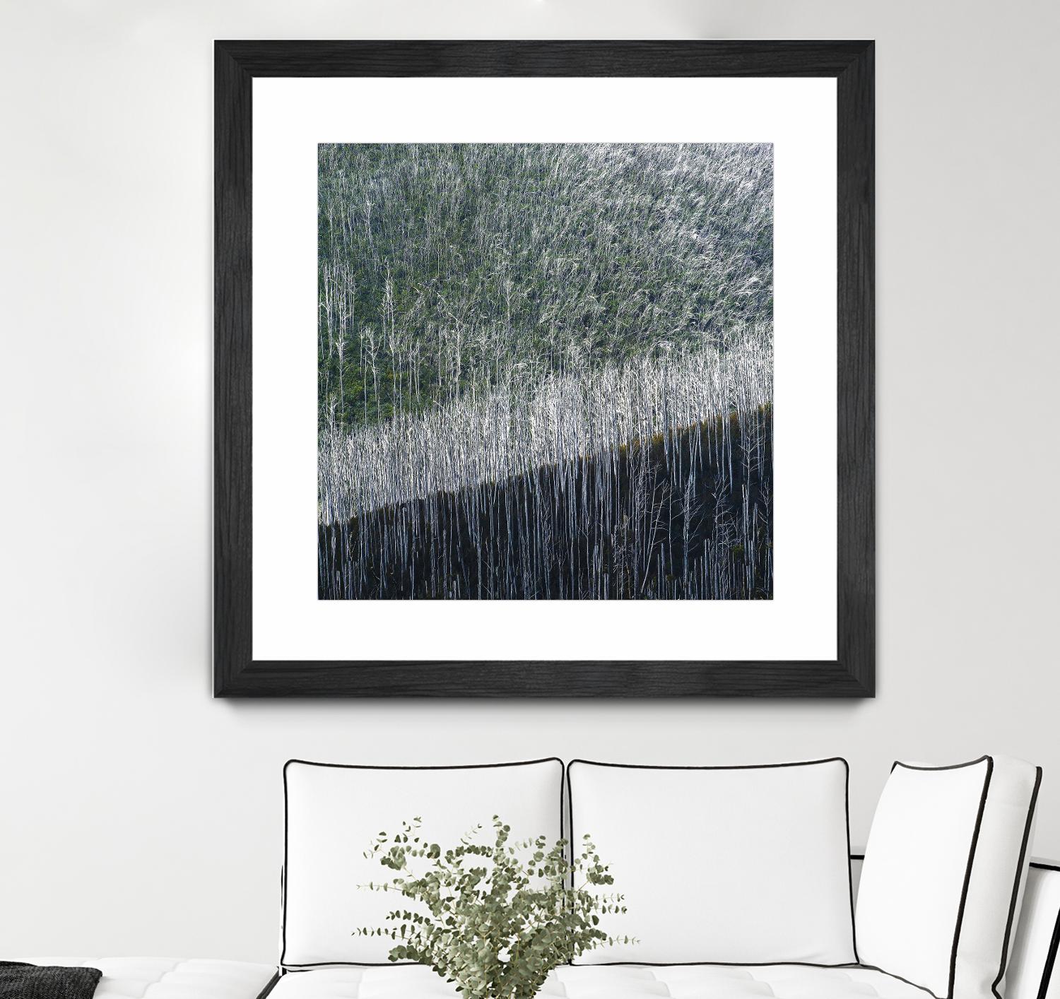 Coming back to life by 1X 1X on GIANT ART - black trees