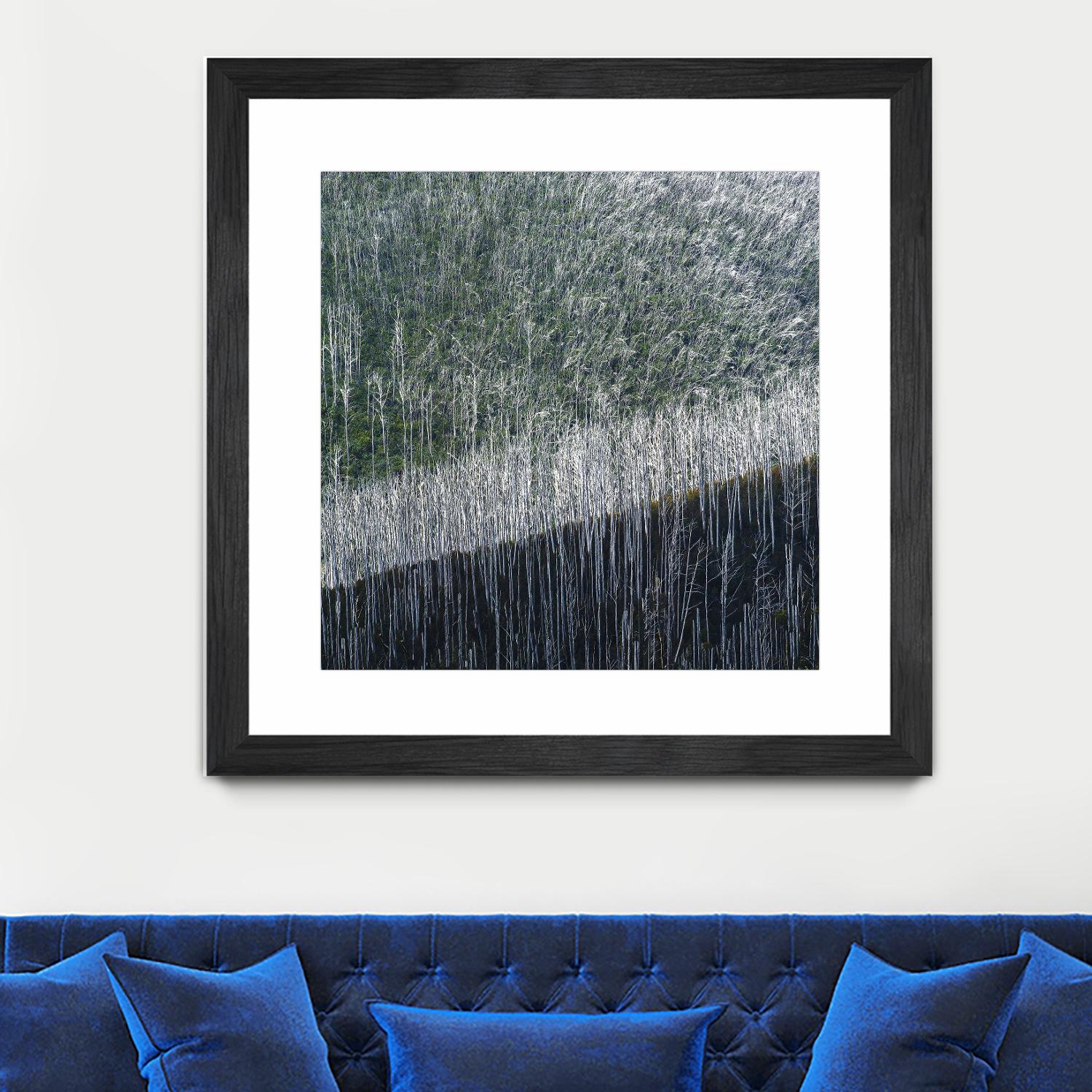 Coming back to life by 1X 1X on GIANT ART - black trees