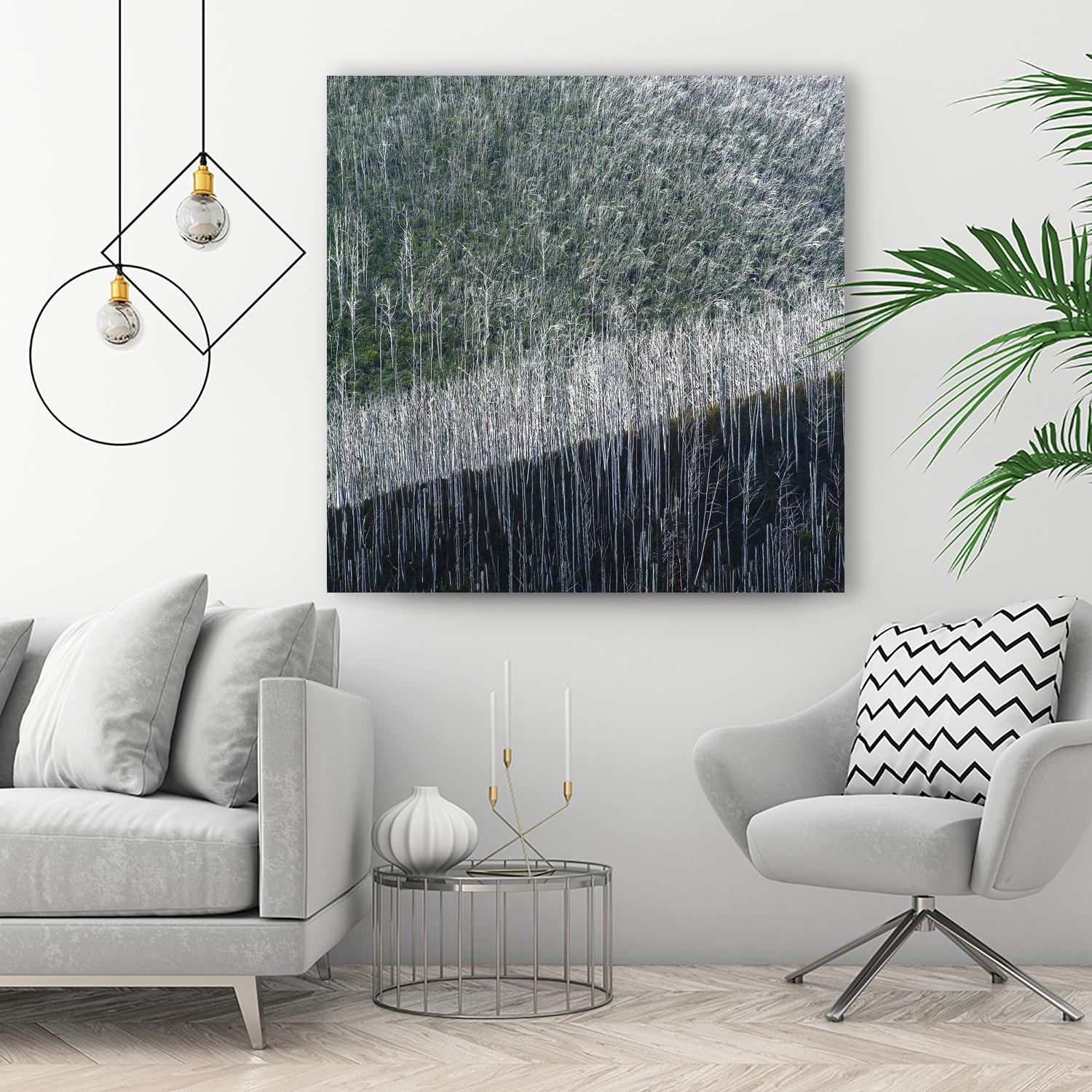 Coming back to life by 1X 1X on GIANT ART - black trees