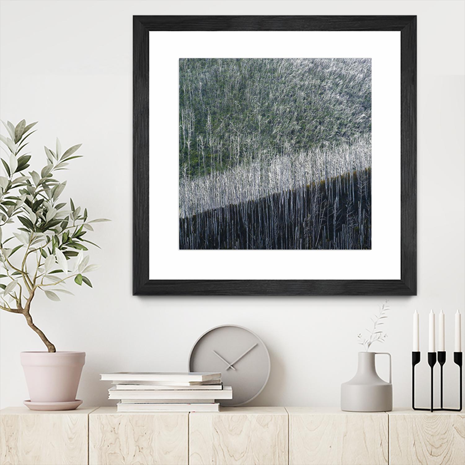 Coming back to life by 1X 1X on GIANT ART - black trees