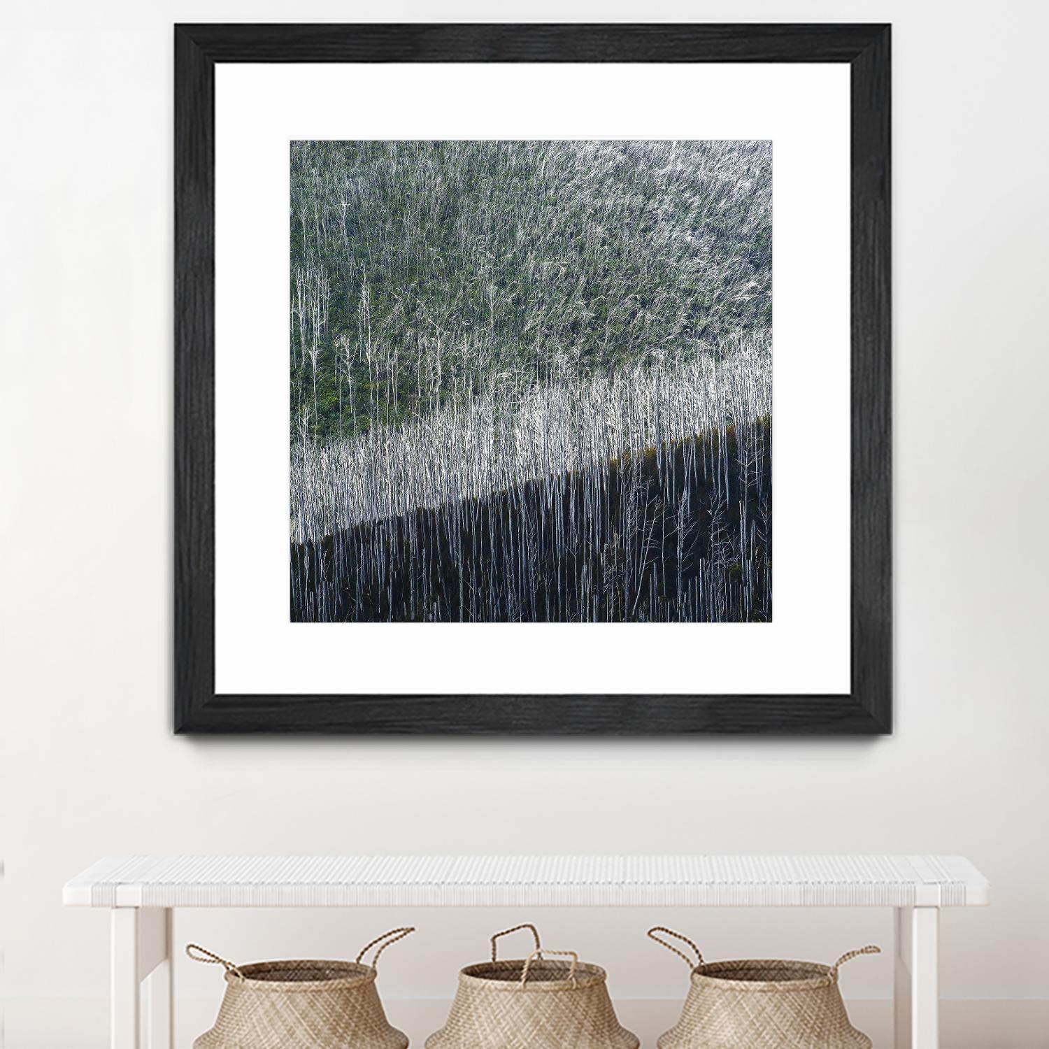 Coming back to life by 1X 1X on GIANT ART - black trees