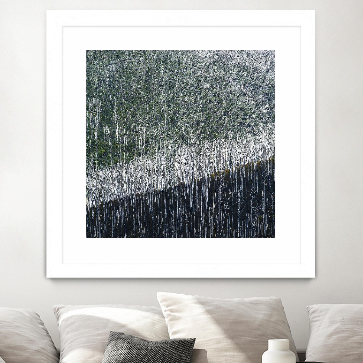 Coming back to life by 1X 1X on GIANT ART - black trees