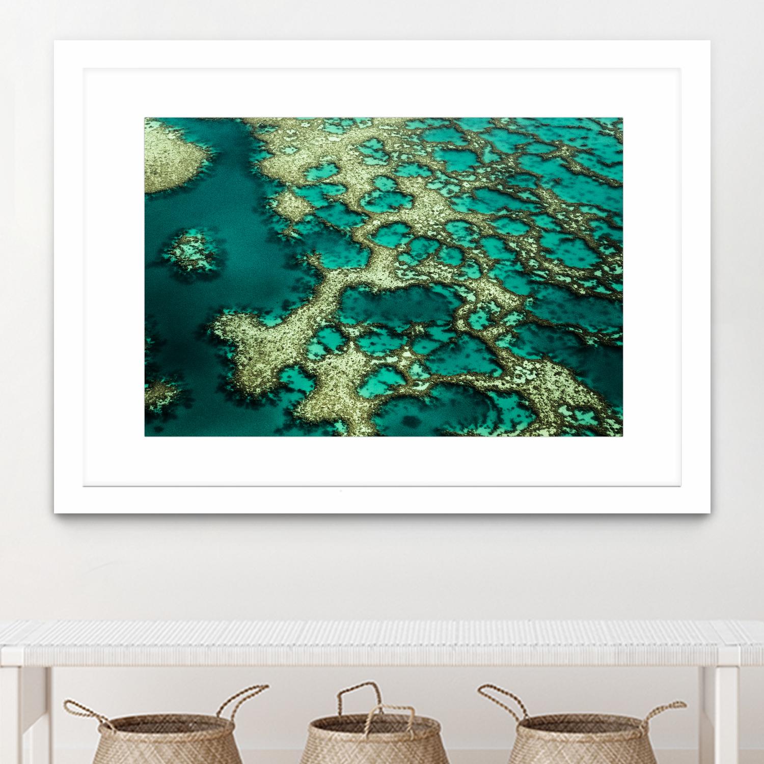 Wrobel - Gondwana by 1X on GIANT ART - green photo art