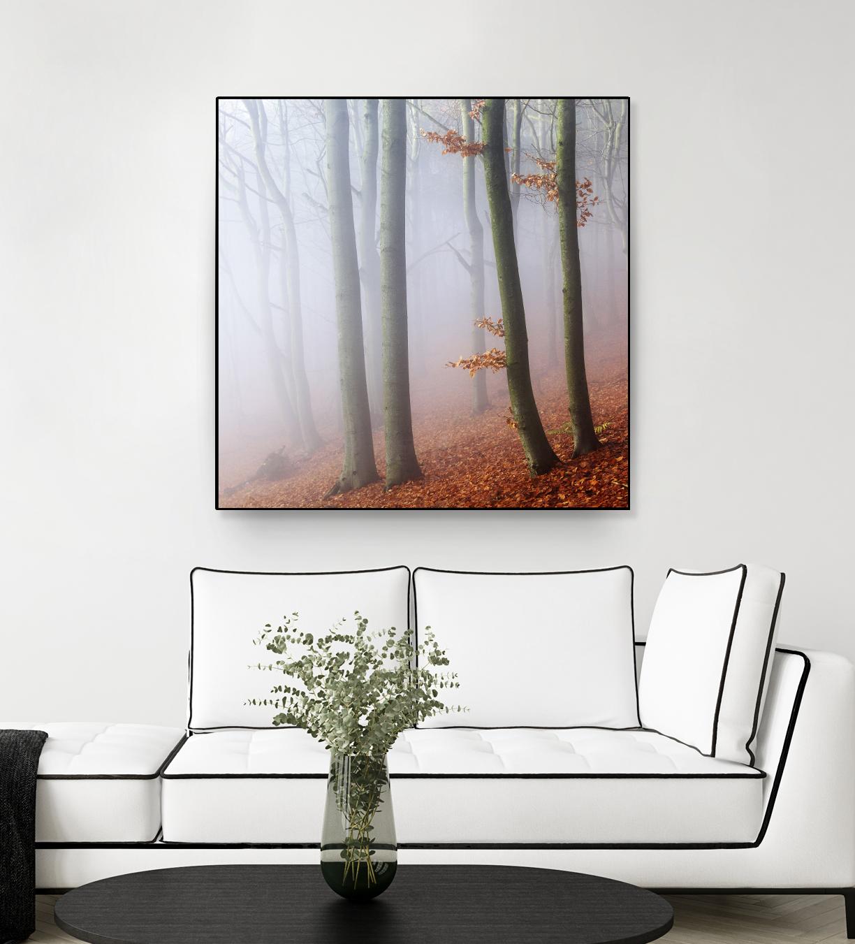 Fog by Popovsky 1X on GIANT ART - orange landscape