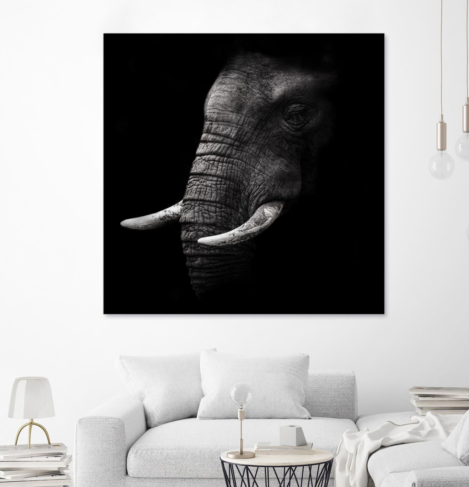 Portrait by WildPhotoArt on GIANT ART - white animal hear of elephant
