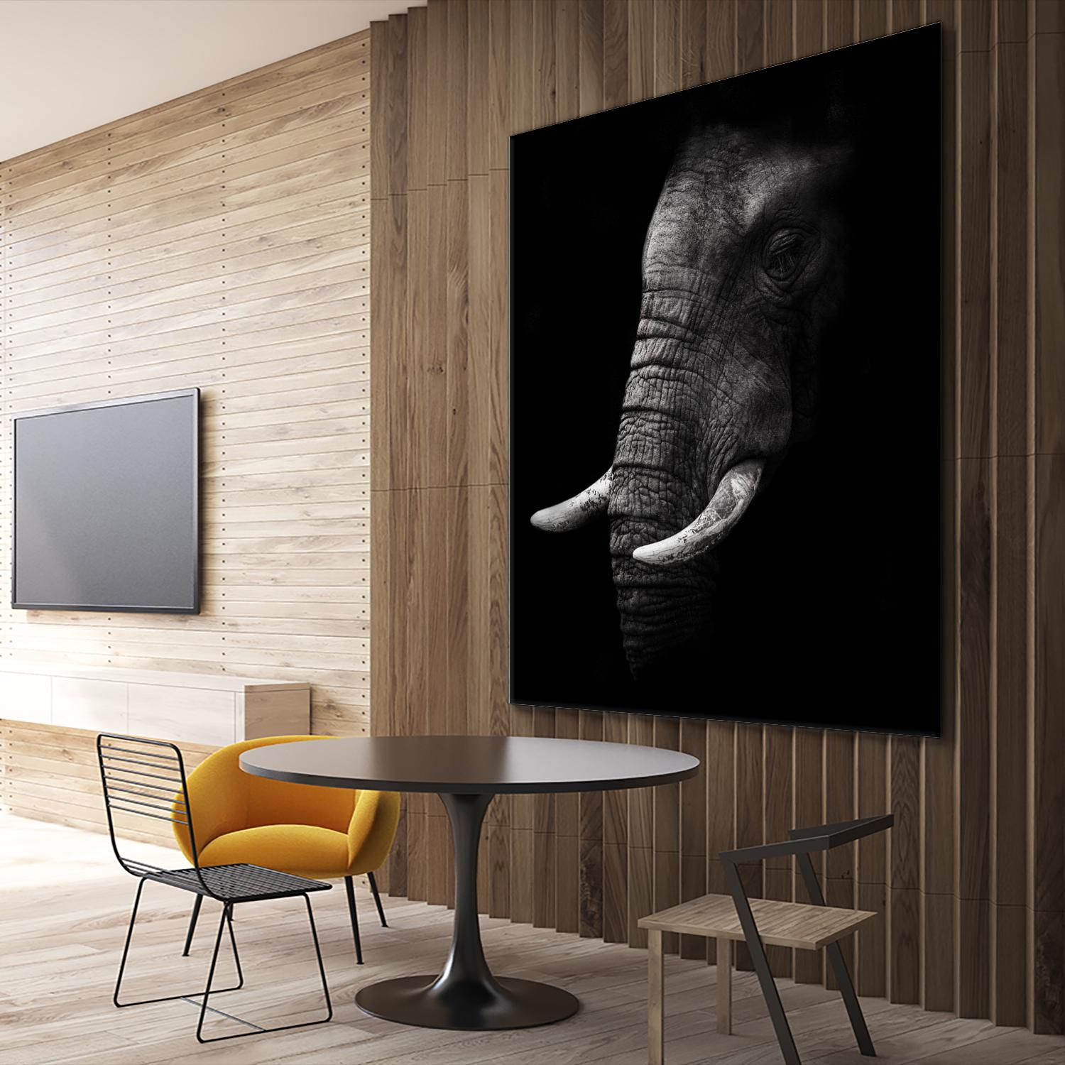 Portrait by WildPhotoArt on GIANT ART - white animal hear of elephant