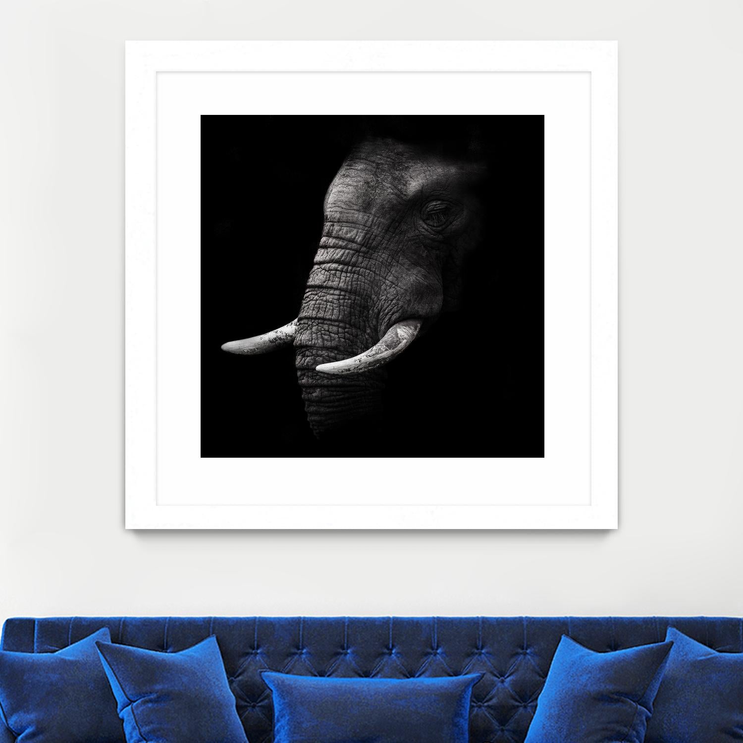Portrait by WildPhotoArt on GIANT ART - white animal hear of elephant